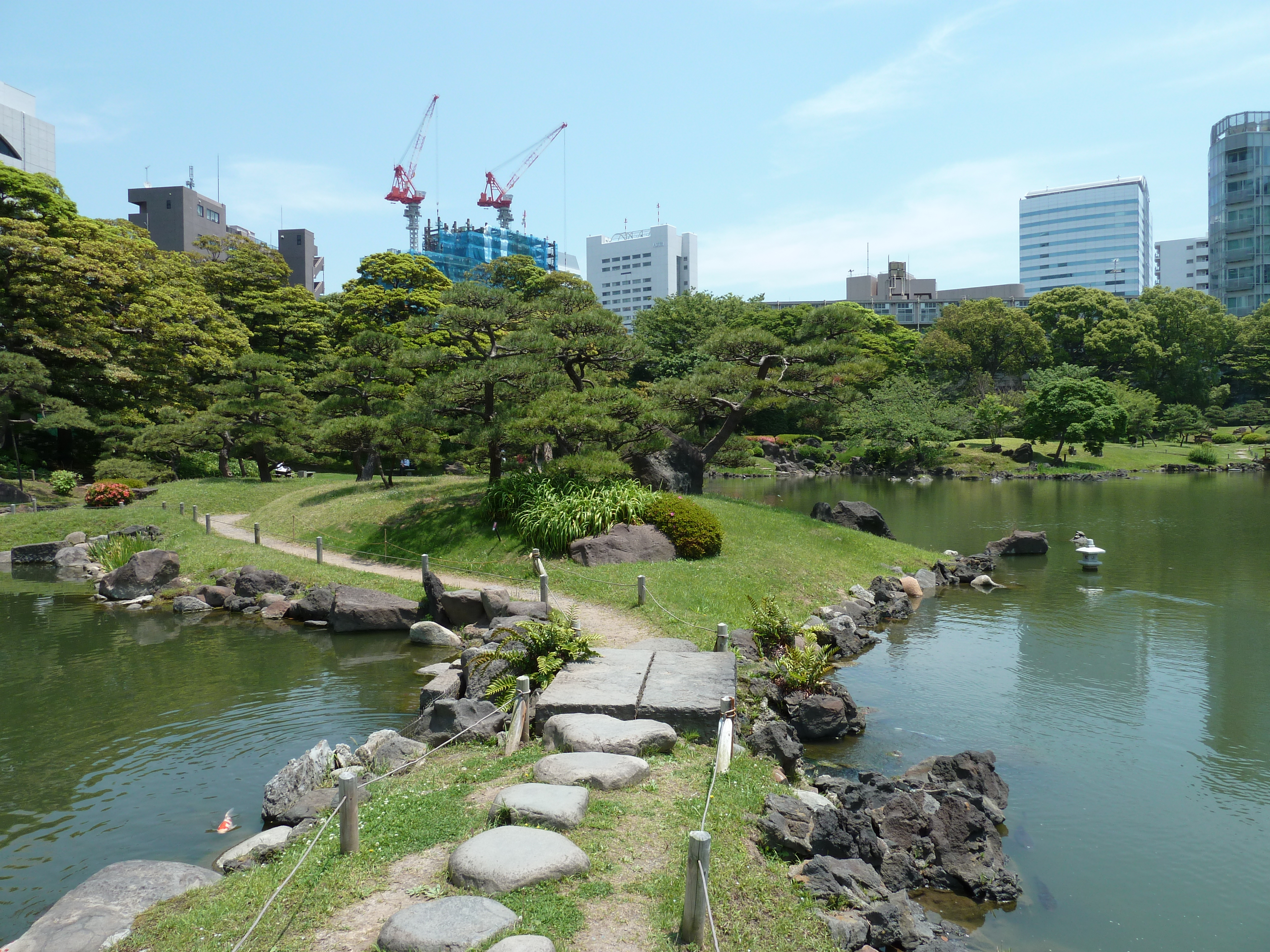 รูปถ่าย ญี่ปุ่น(Japan) โตเกียว(Tokyo) สวนคิวชิบะริคิว(Kyu Shiba rikyu Gardens) 2010-06 3