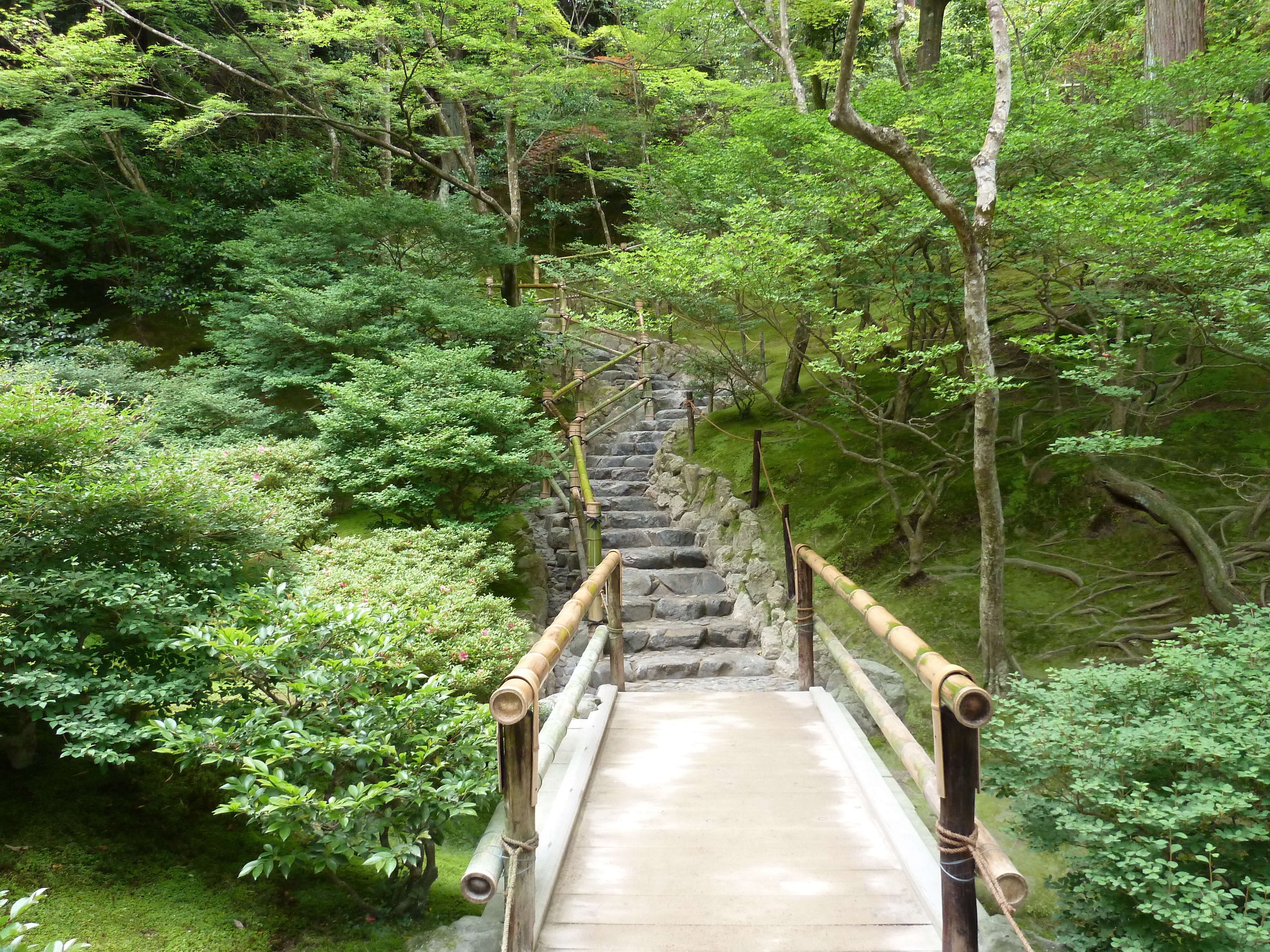 รูปถ่าย ญี่ปุ่น(Japan) เกียวโต(Kyoto) วัดกินกะกุจิ (ศาลาเงิน)(Ginkakuji Temple(Silver Pavilion)) 2010-06 14