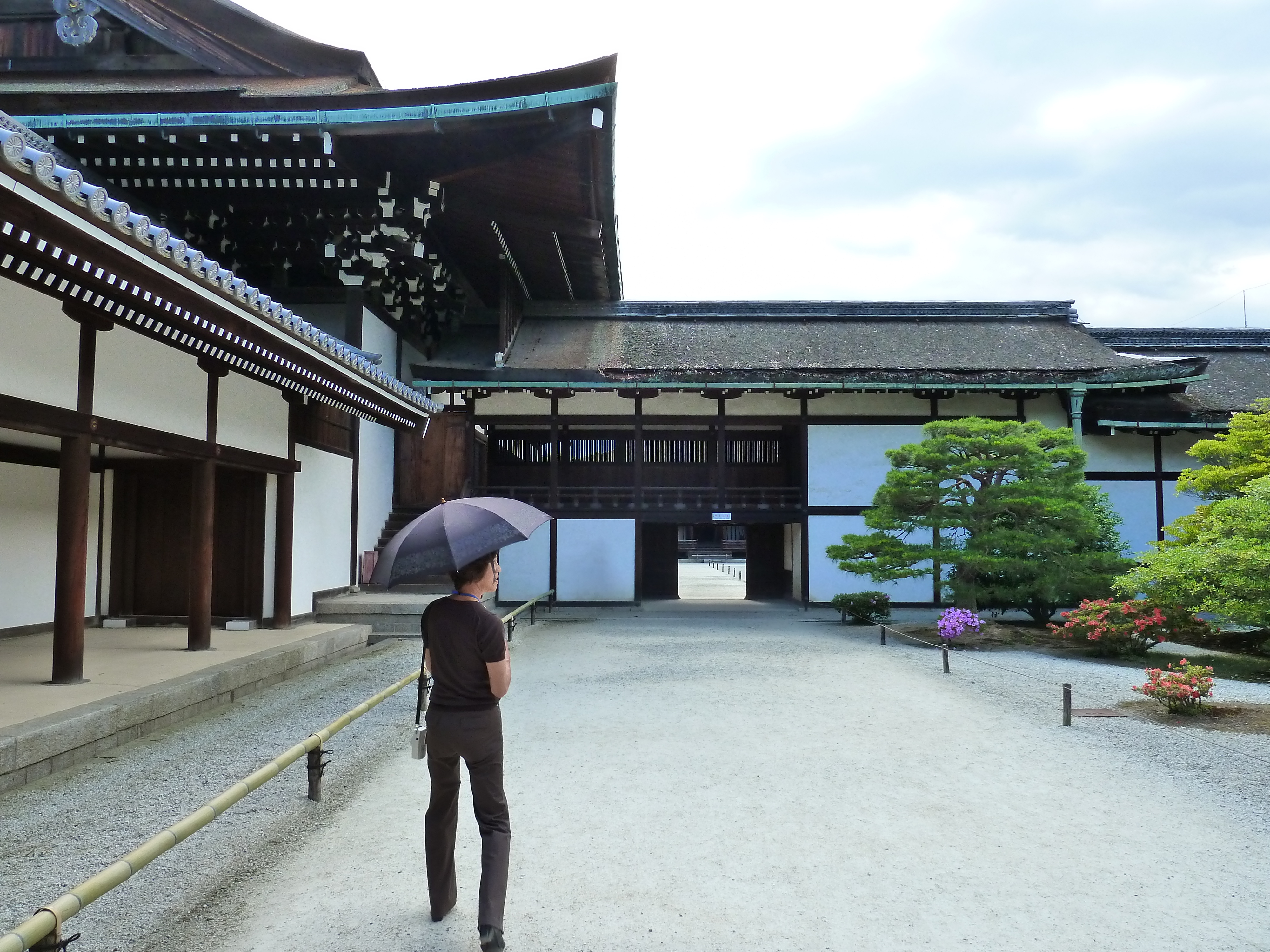 รูปถ่าย ญี่ปุ่น(Japan) เกียวโต(Kyoto) พระราชวังหลวงเกียวโต(Kyoto Imperial Palace) 2010-06 97