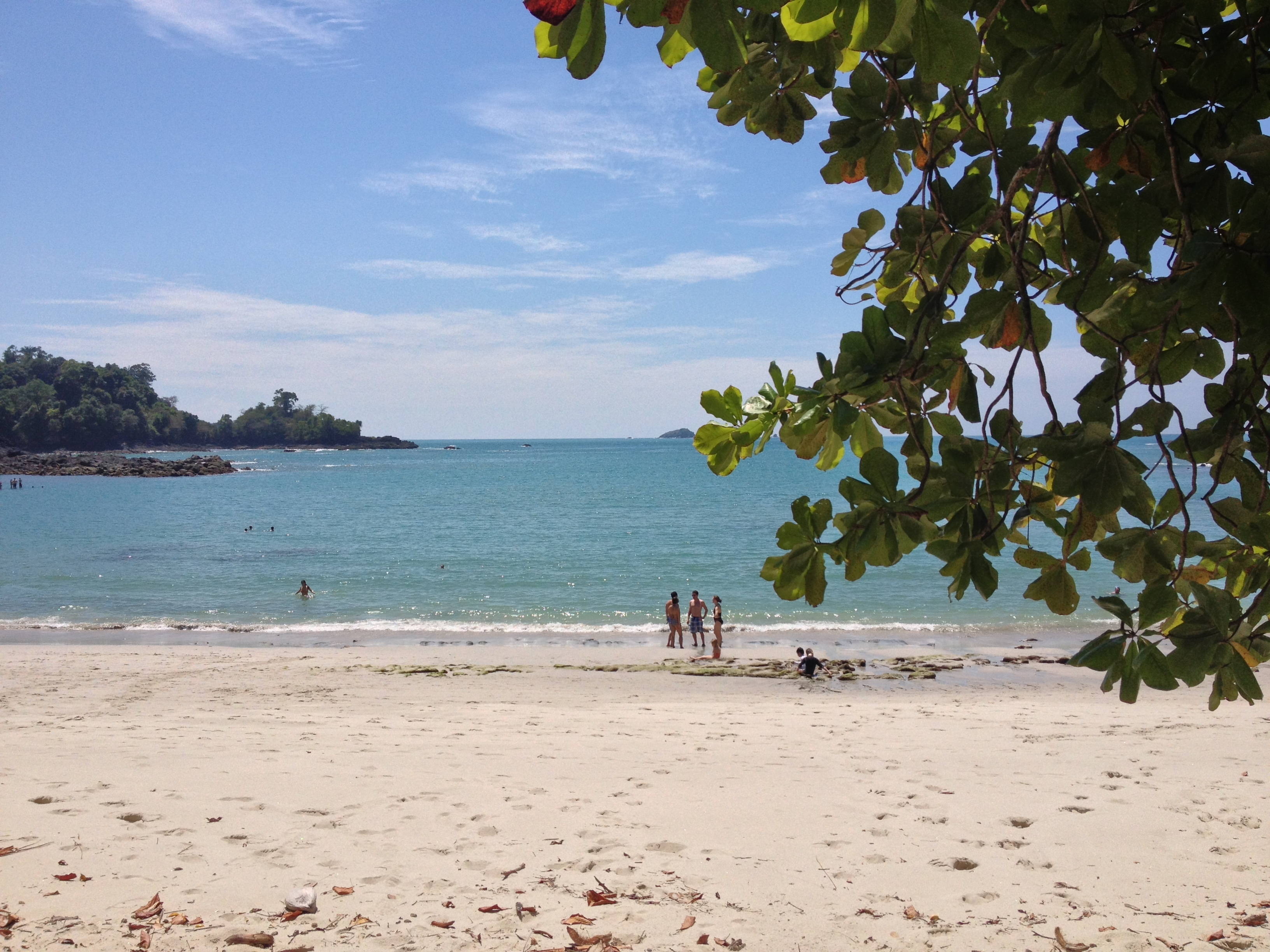 รูปถ่าย คอสตาริกา(Costa Rica) มานวยล์อันโตนีโอ(Manuel Antonio) 2015-03 165