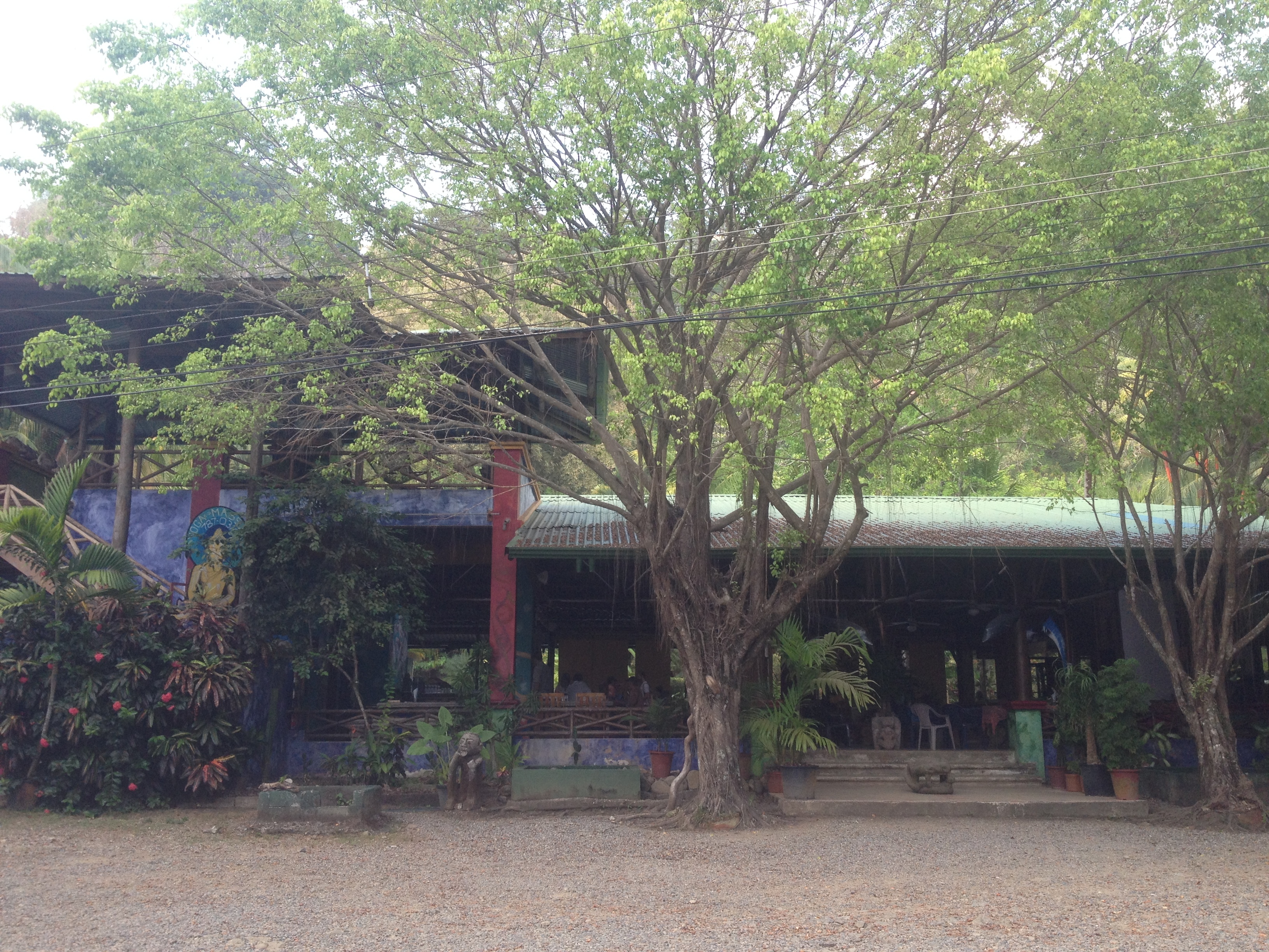 รูปถ่าย คอสตาริกา(Costa Rica) โดมินิกัล(Dominical) 2015-03 89