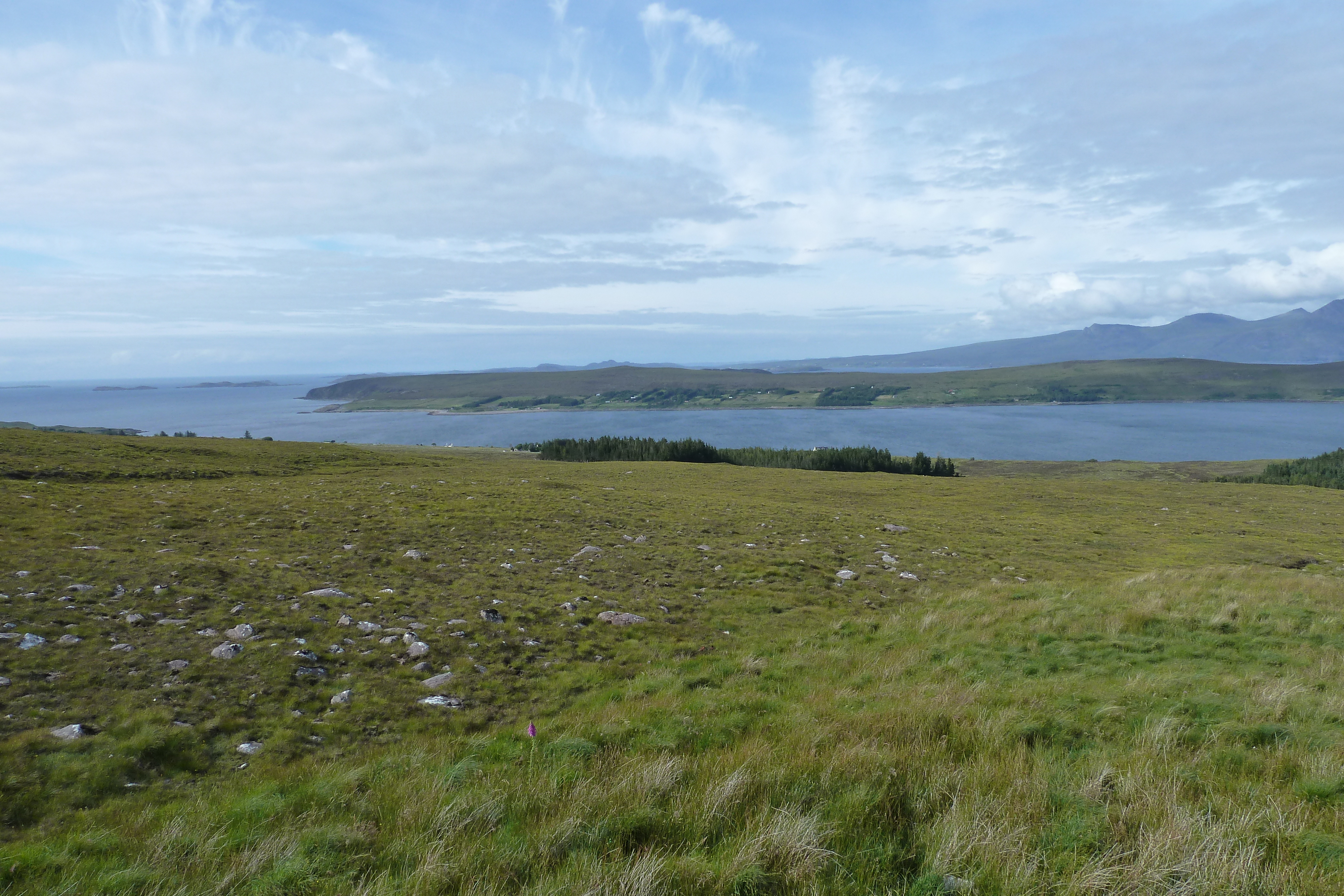 รูปถ่าย อังกฤษ(United Kingdom) เวสเตอร์รอสส์(Wester Ross) 2011-07 128