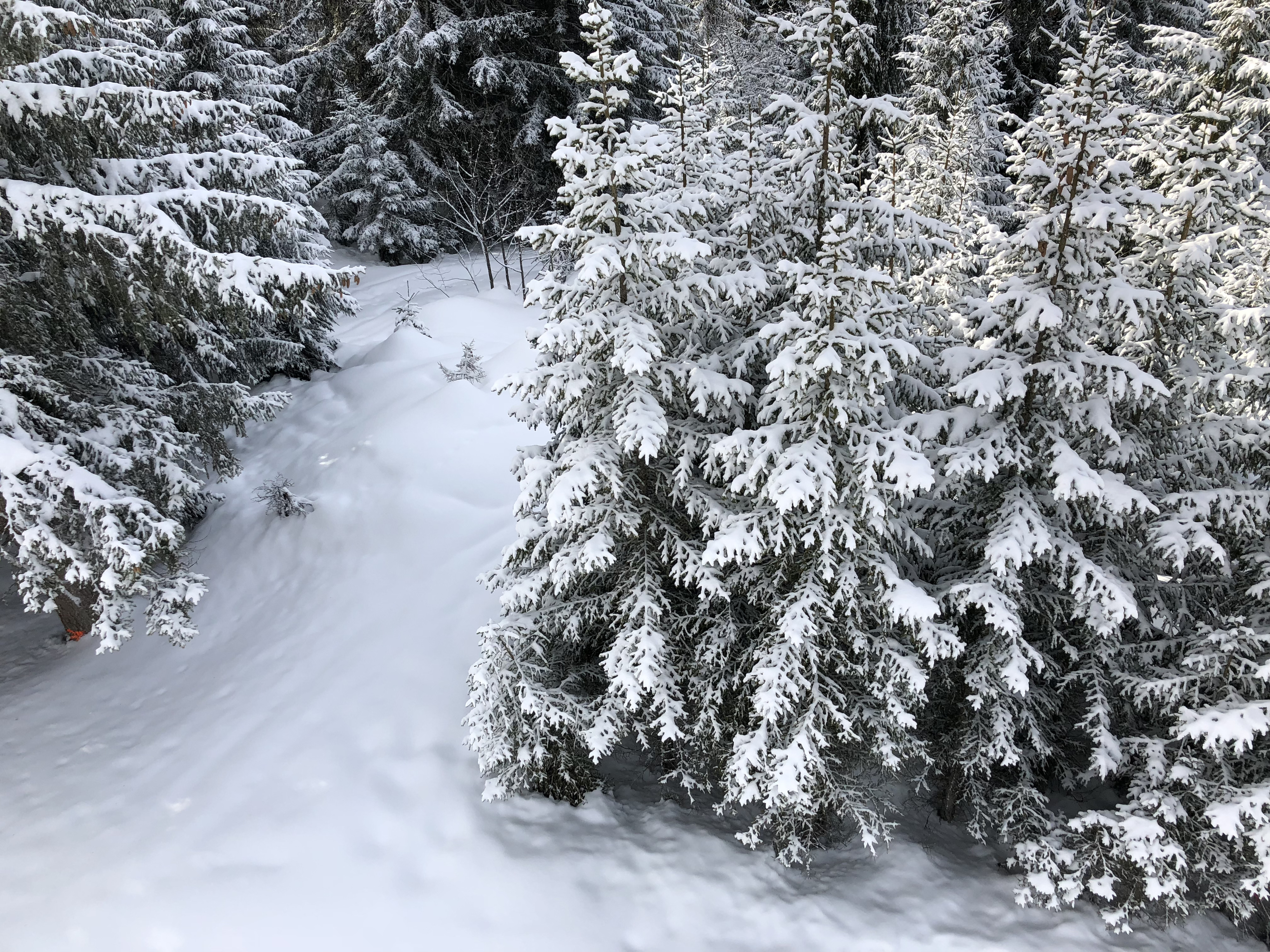 รูปถ่าย ฝรั่งเศส(France) ลากลูซา(La Clusaz) 2017-12 35
