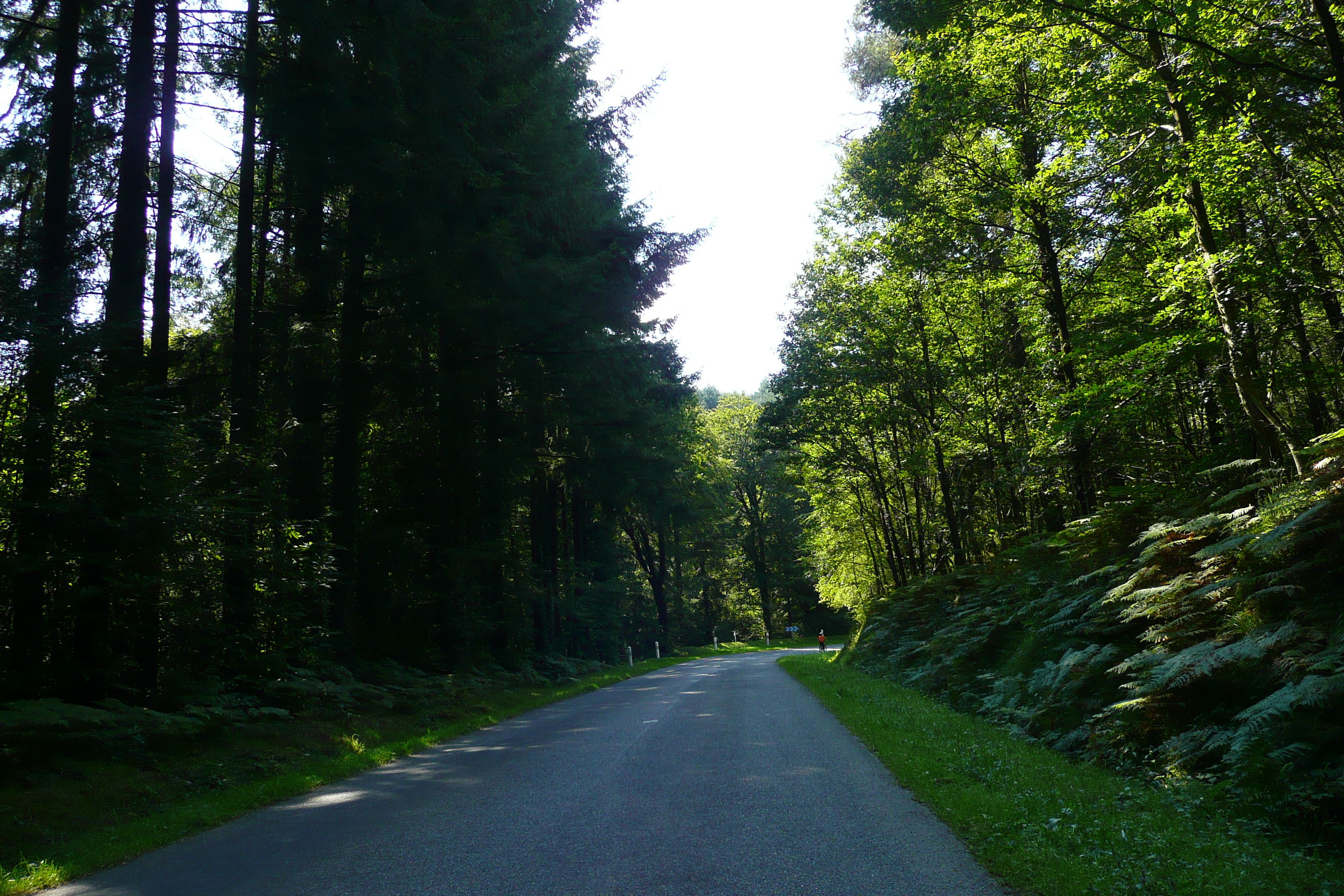 รูปถ่าย ฝรั่งเศส(France) ถนนในบริตตานี(Brittany roads) 2007-08 95