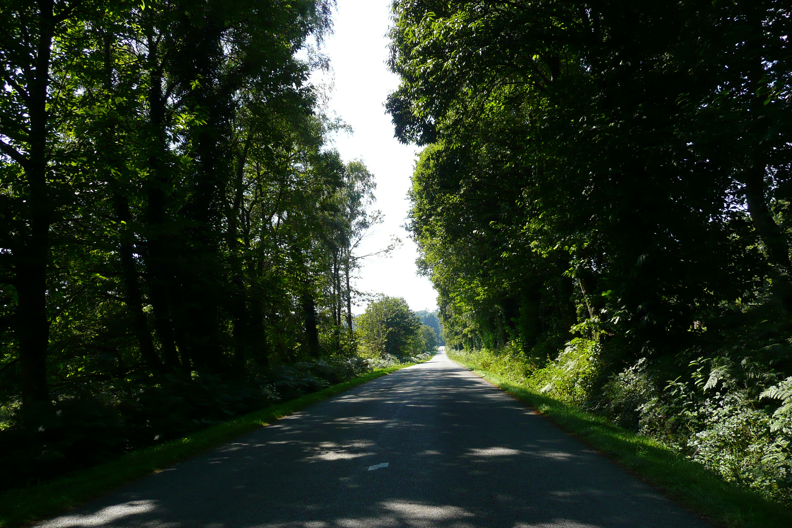 รูปถ่าย ฝรั่งเศส(France) ถนนในบริตตานี(Brittany roads) 2007-08 79