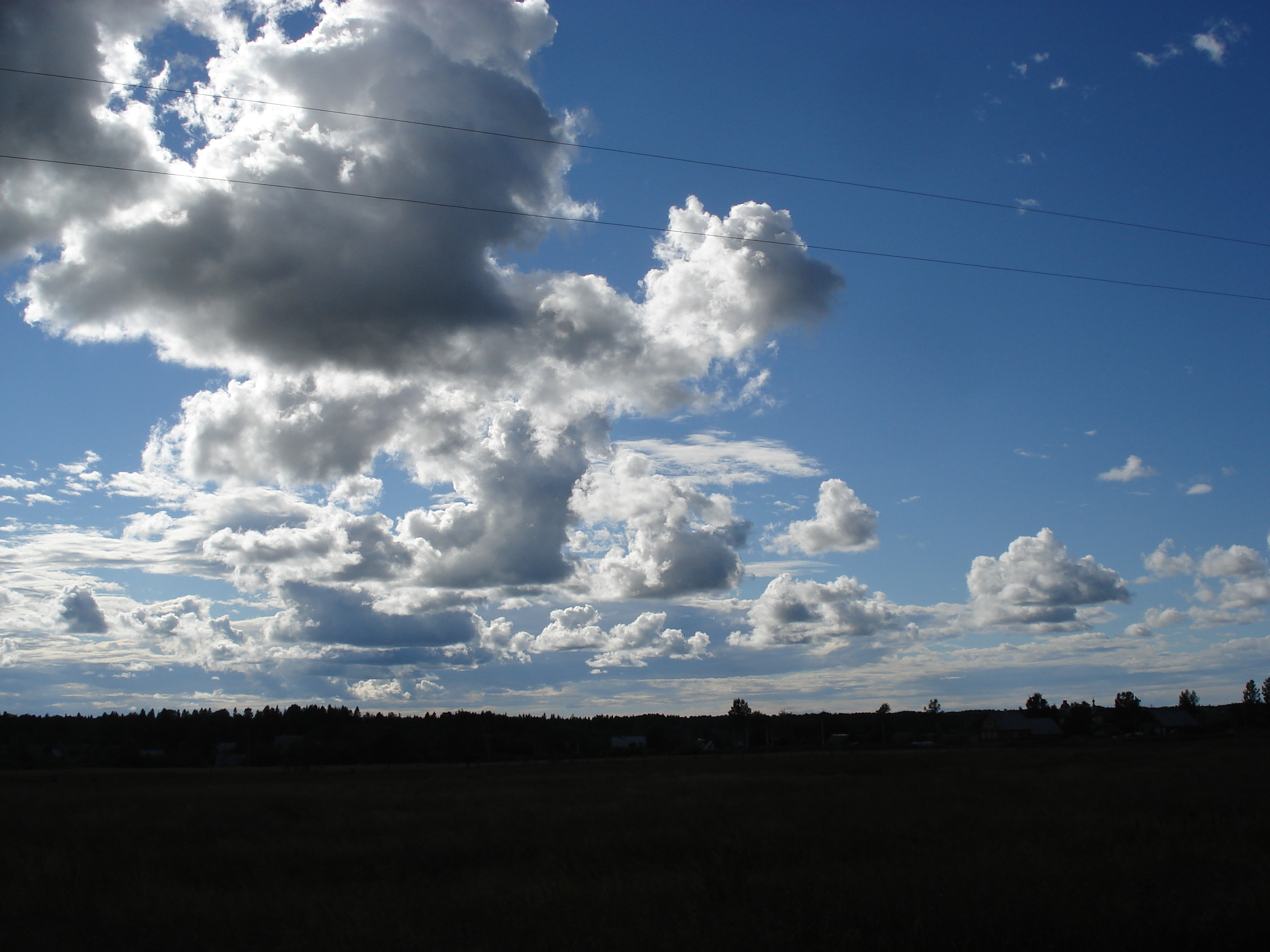 รูปถ่าย รัสเซีย(Russia) จากยาโรสลาฟล์ไปเซนต์ปีเตอร์สเบิร์ก(From Yaroslavl to St Petersburg) 2006-07 71