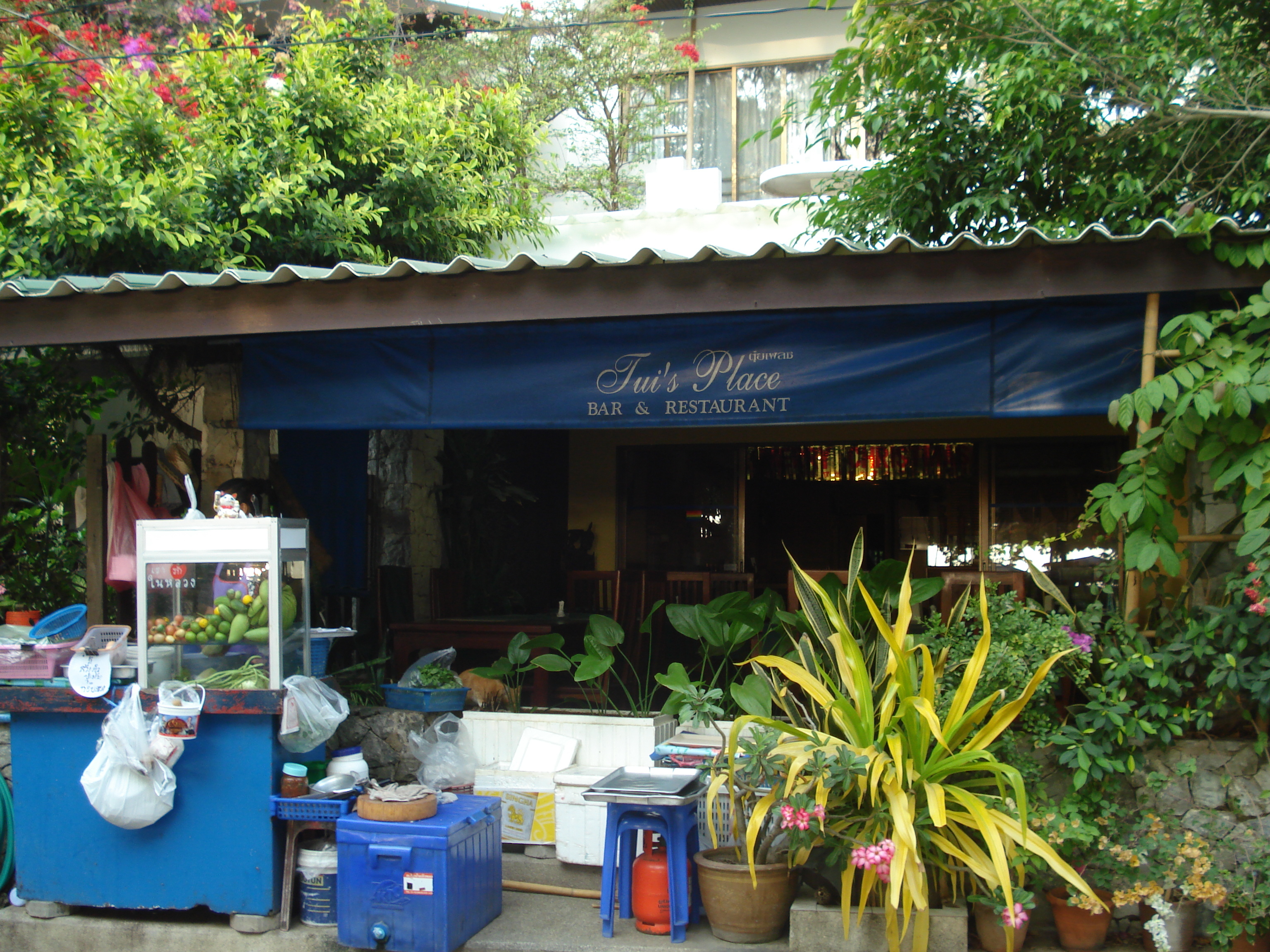 รูปถ่าย ไทย(Thailand) พัทยา(Pattaya) หาดดงตาล(Dongtan beach) 2008-01 5