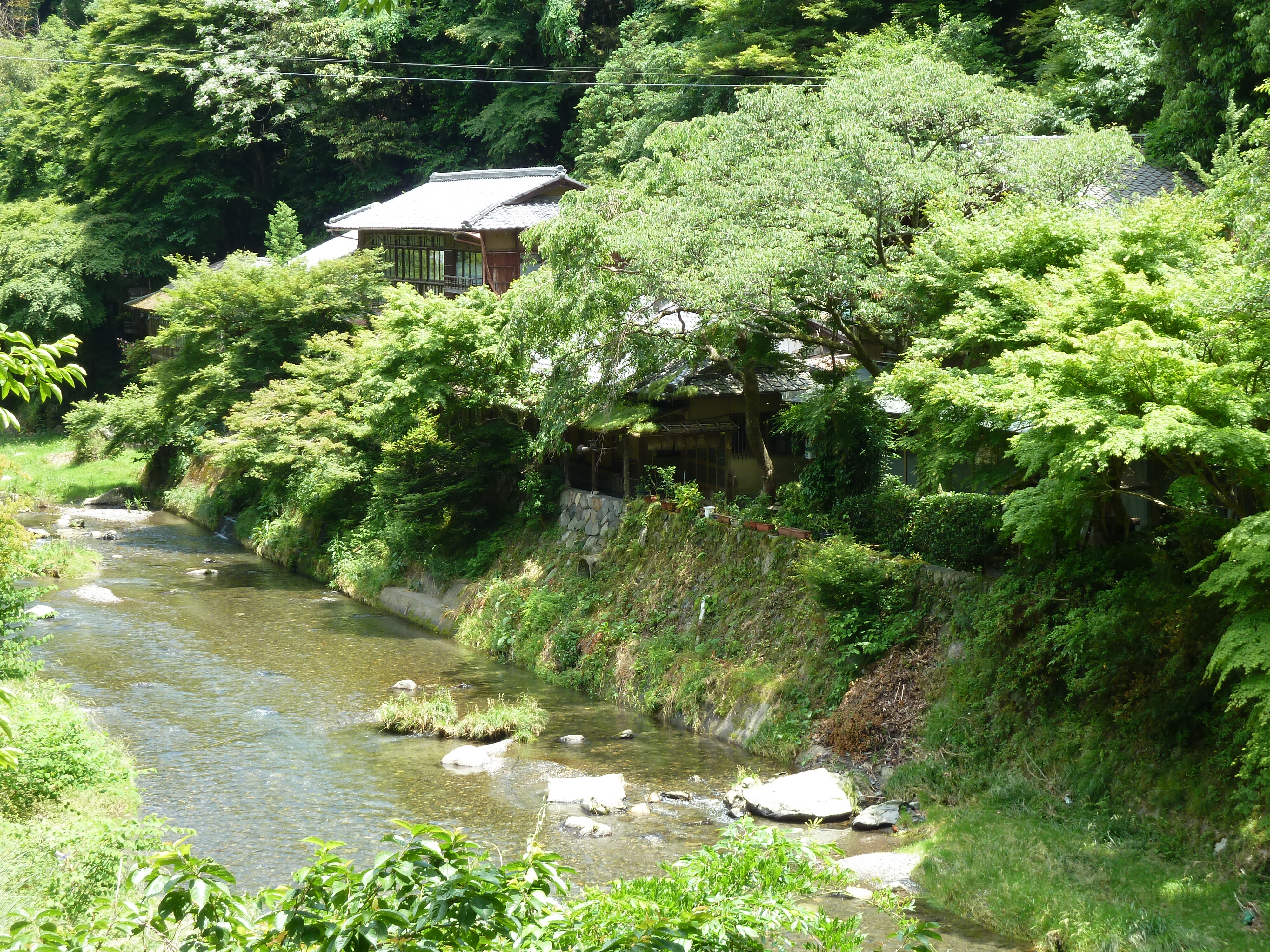 รูปถ่าย ญี่ปุ่น(Japan) เกียวโต(Kyoto) สถานียาเซะฮิเอซังงุจิ(Yase Hieizanguchi Station) 2010-06 35
