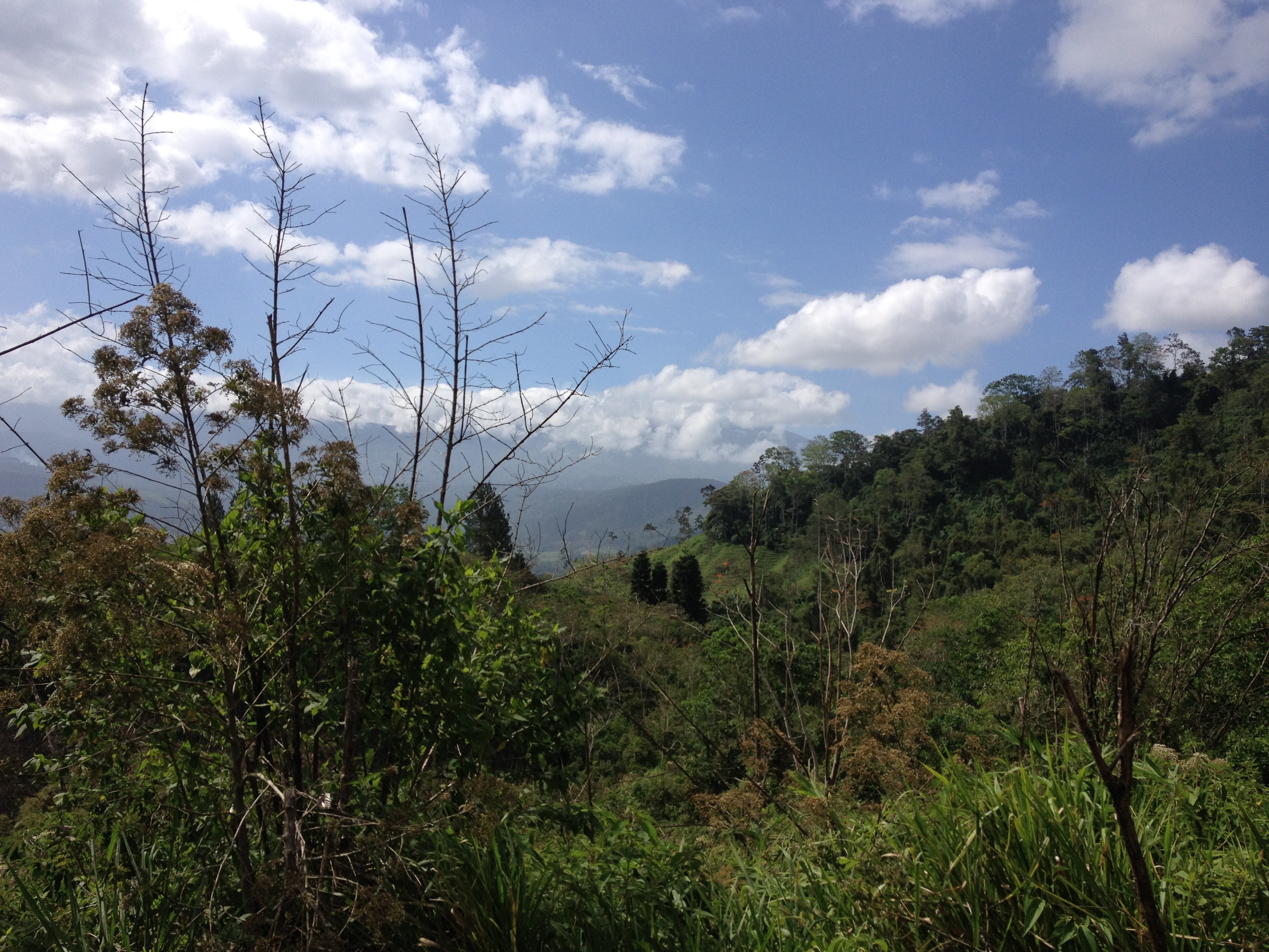 รูปถ่าย คอสตาริกา(Costa Rica) ตูร์รีอัลบา(Turrialba) 2015-03 36