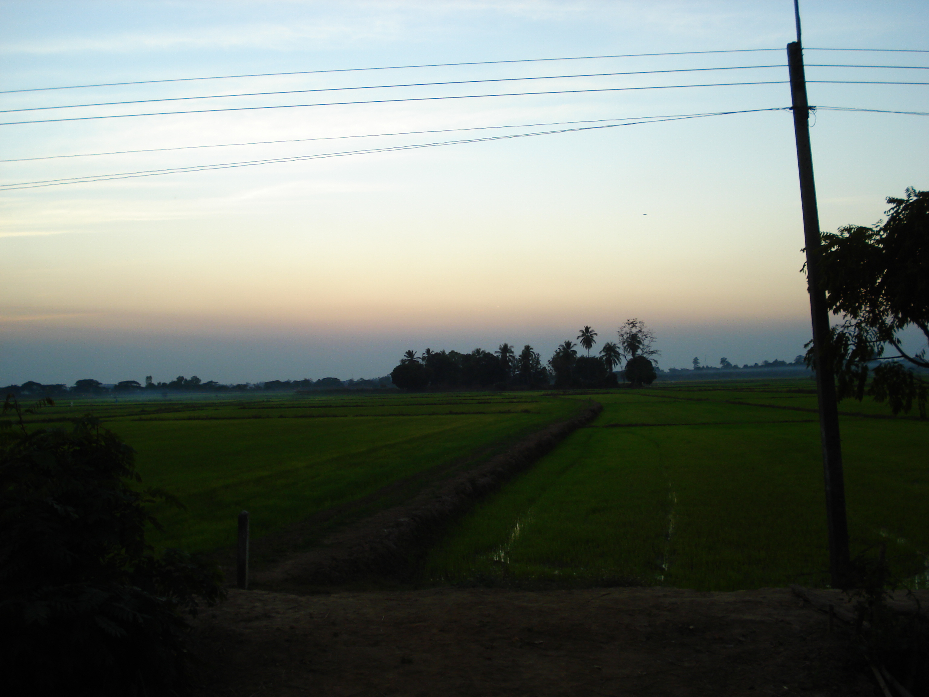 รูปถ่าย ไทย(Thailand) พิษณุโลก(Phitsanulok) ถนนจอมทอง(Jomthong Road) 2008-01 36