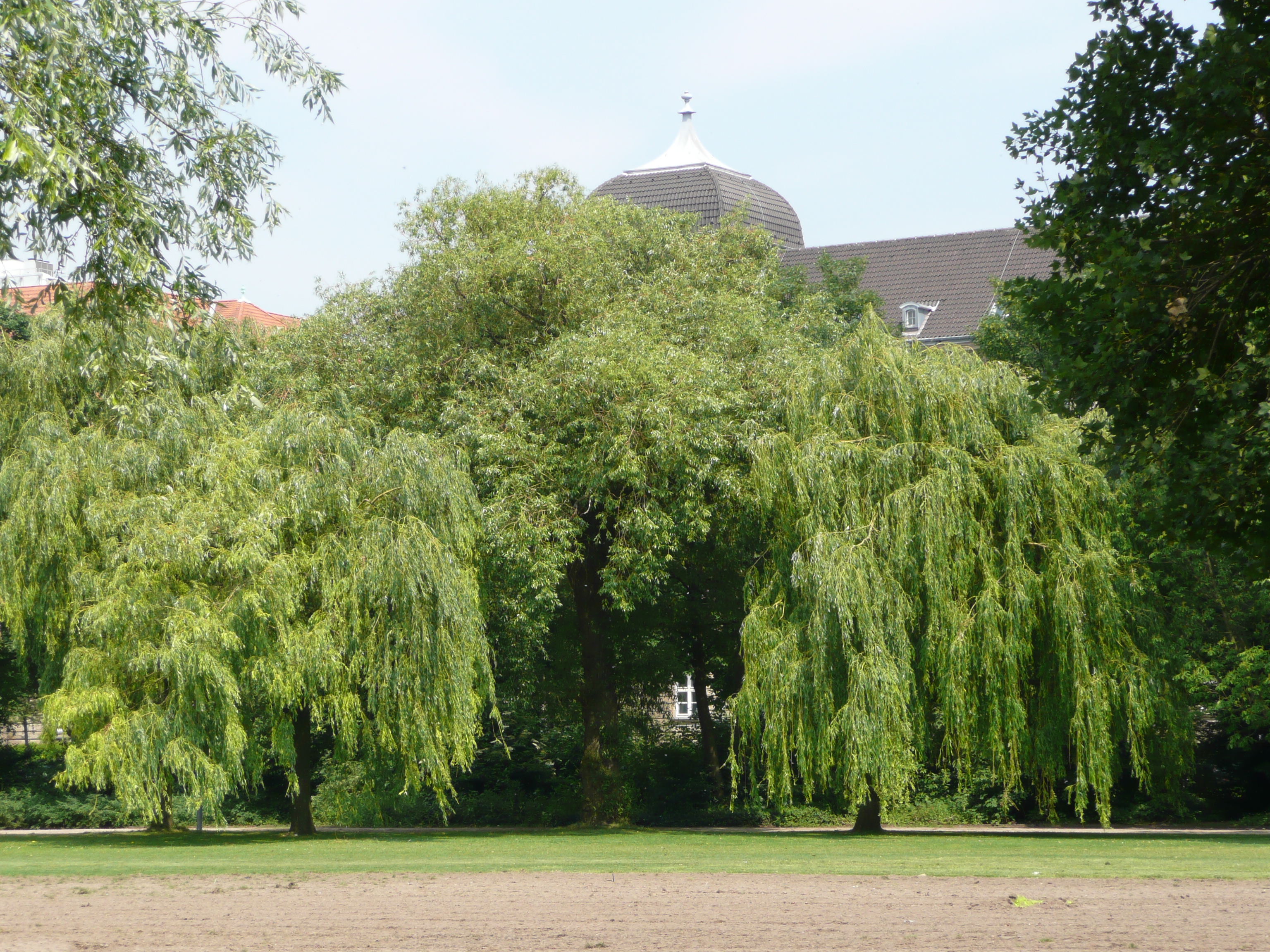 รูปถ่าย เยอรมนี(Germany) ดัสเซลดอร์ฟ(Dusseldorf) 2007-05 15
