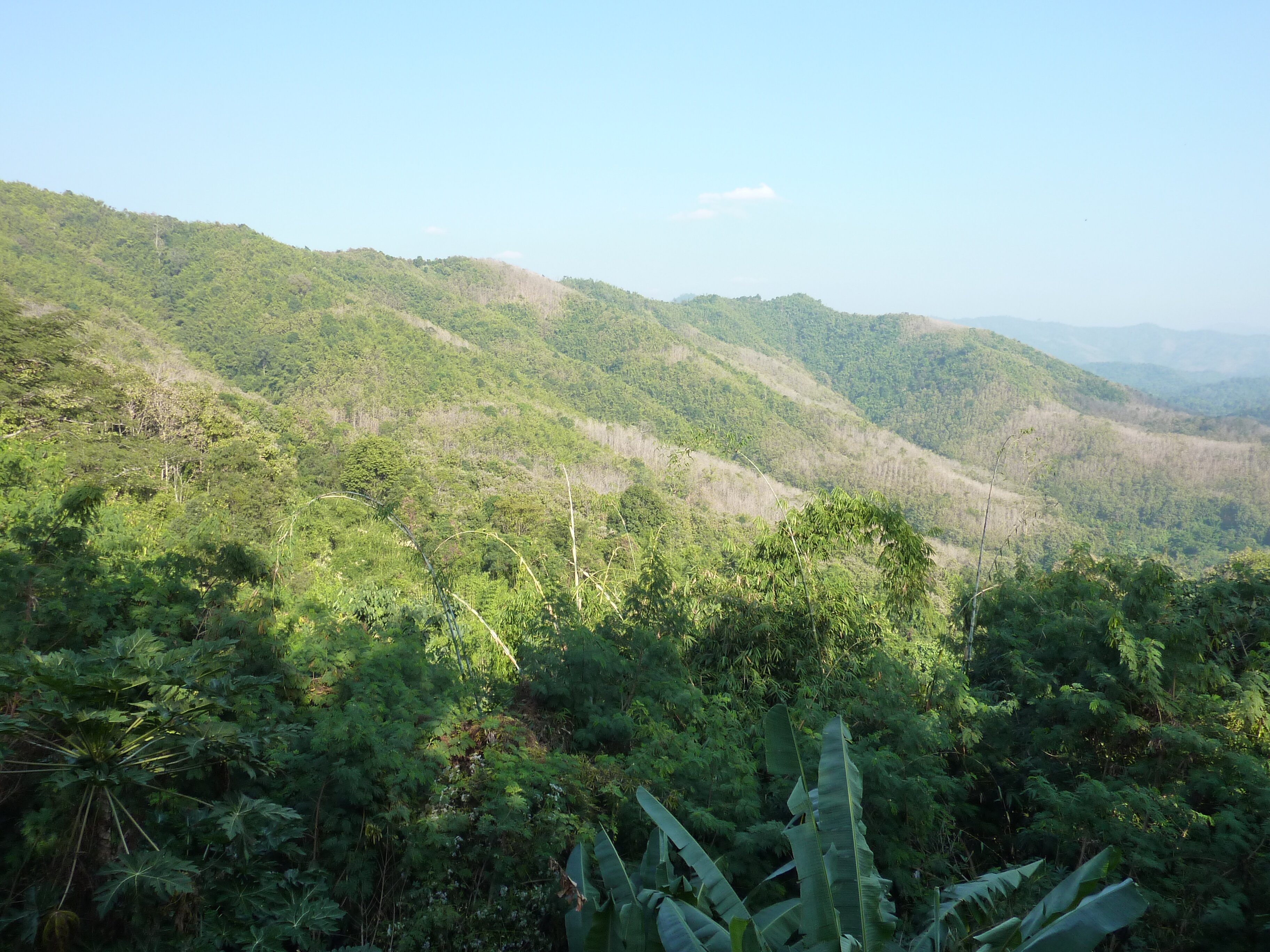 รูปถ่าย ไทย(Thailand) ถนนจากเชียงใหม่ไปพิษณุโลก(Chiang Mai to Phitsanulok road) 2009-12 6