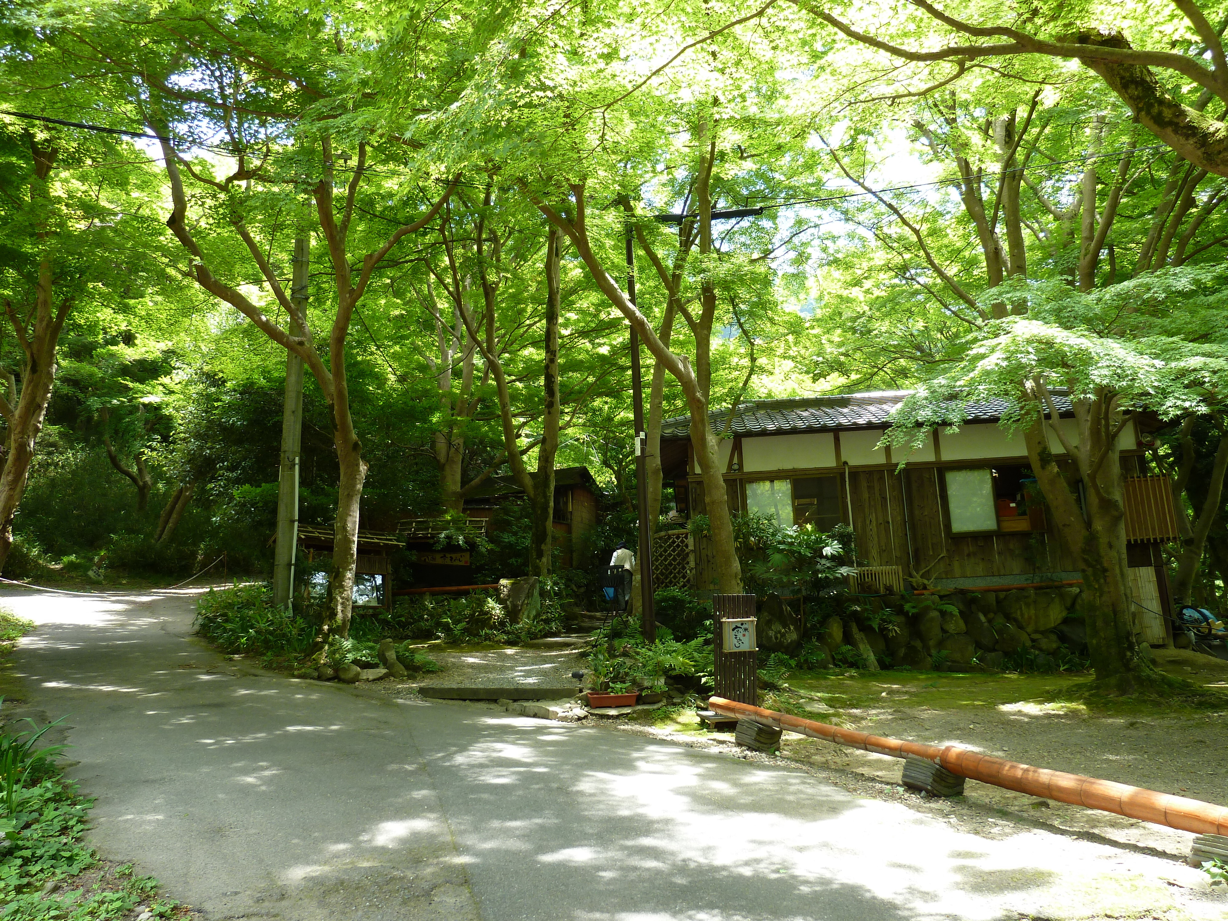 รูปถ่าย ญี่ปุ่น(Japan) เกียวโต(Kyoto) สถานียาเซะฮิเอซังงุจิ(Yase Hieizanguchi Station) 2010-06 23