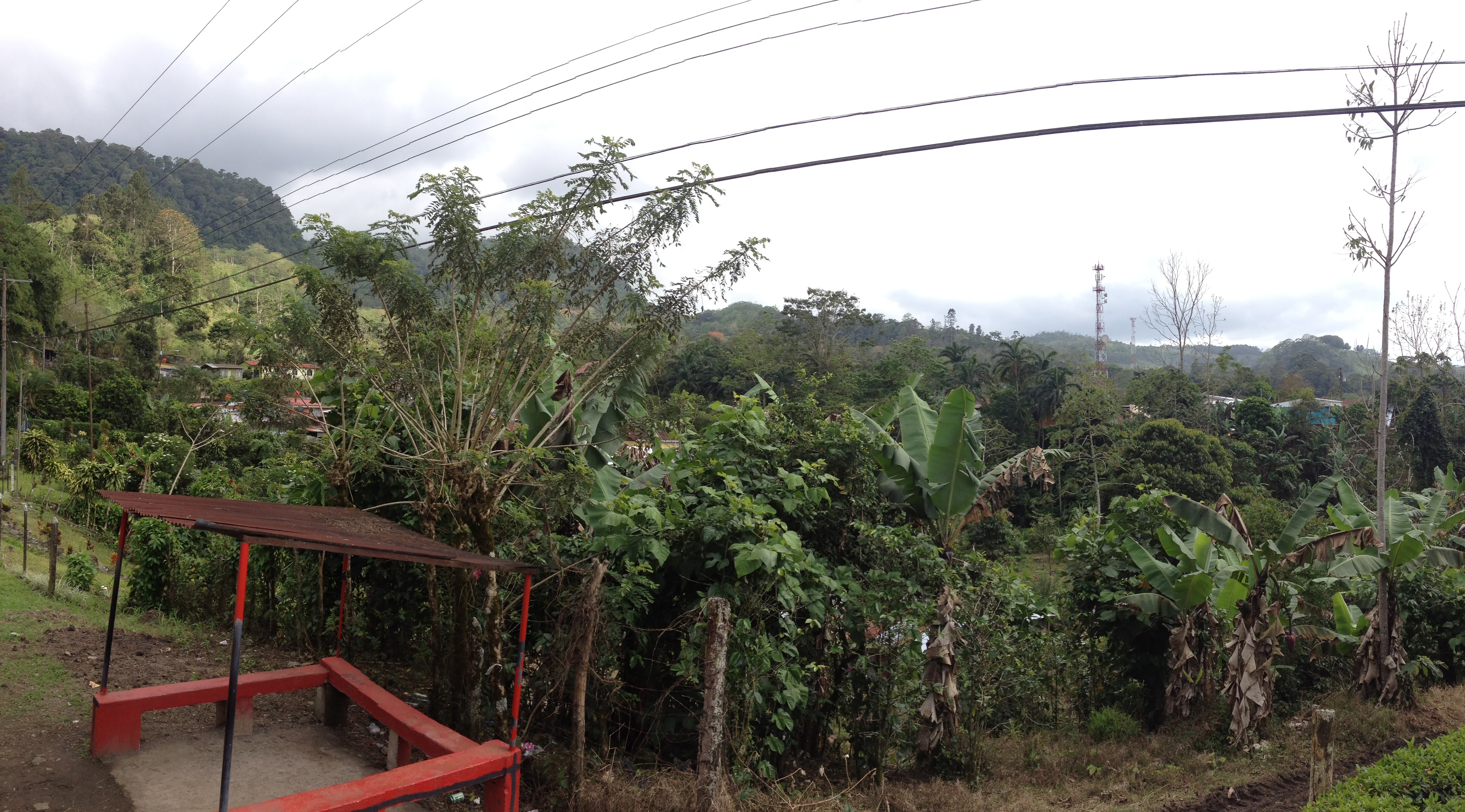 รูปถ่าย คอสตาริกา(Costa Rica) ตูร์รีอัลบา(Turrialba) 2015-03 18