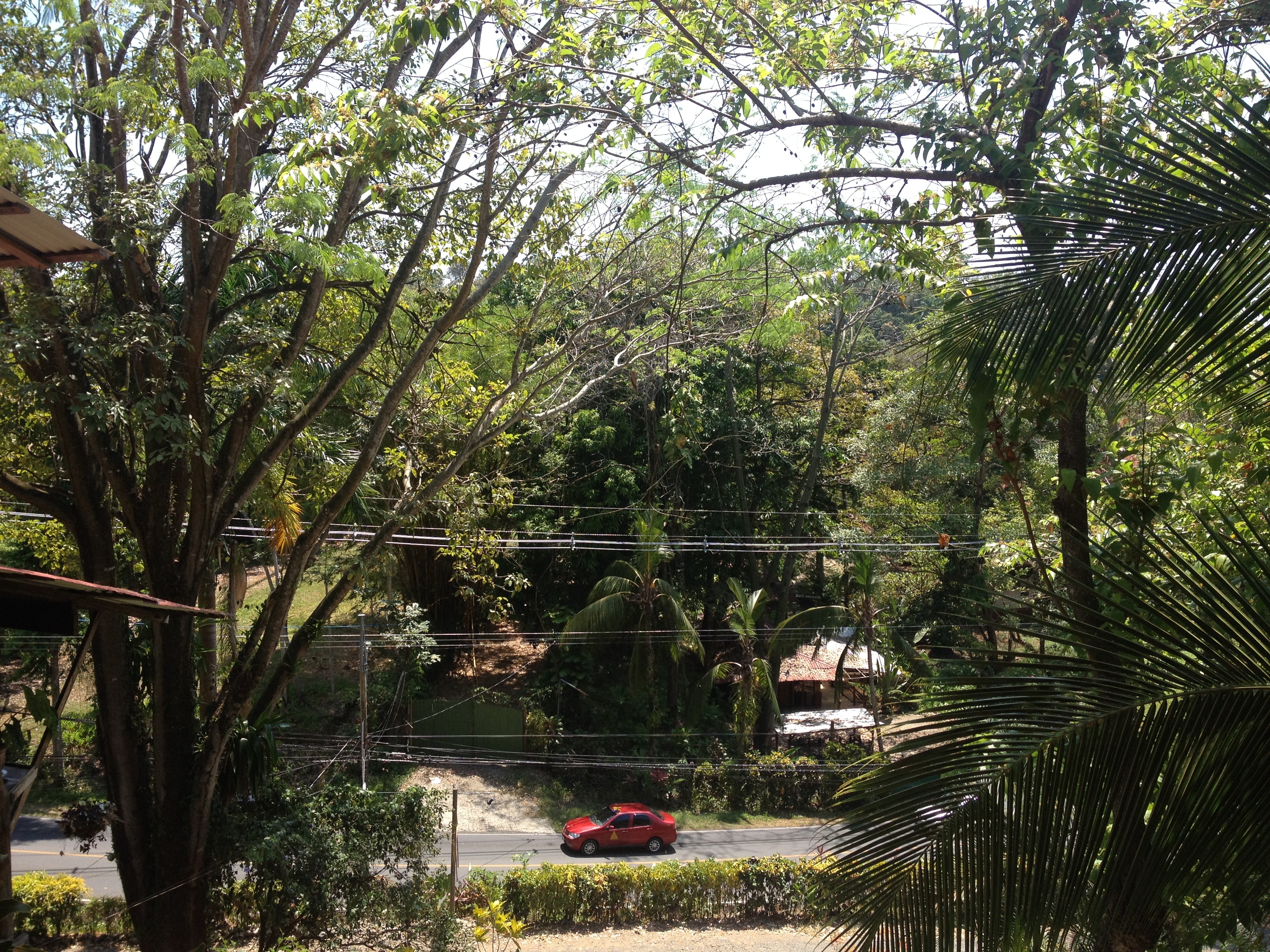 รูปถ่าย คอสตาริกา(Costa Rica) มานวยล์อันโตนีโอ(Manuel Antonio) 2015-03 399