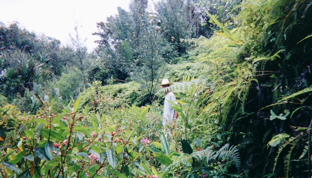 รูปถ่าย มาดากัสการ์(Madagascar) 1999-10 25