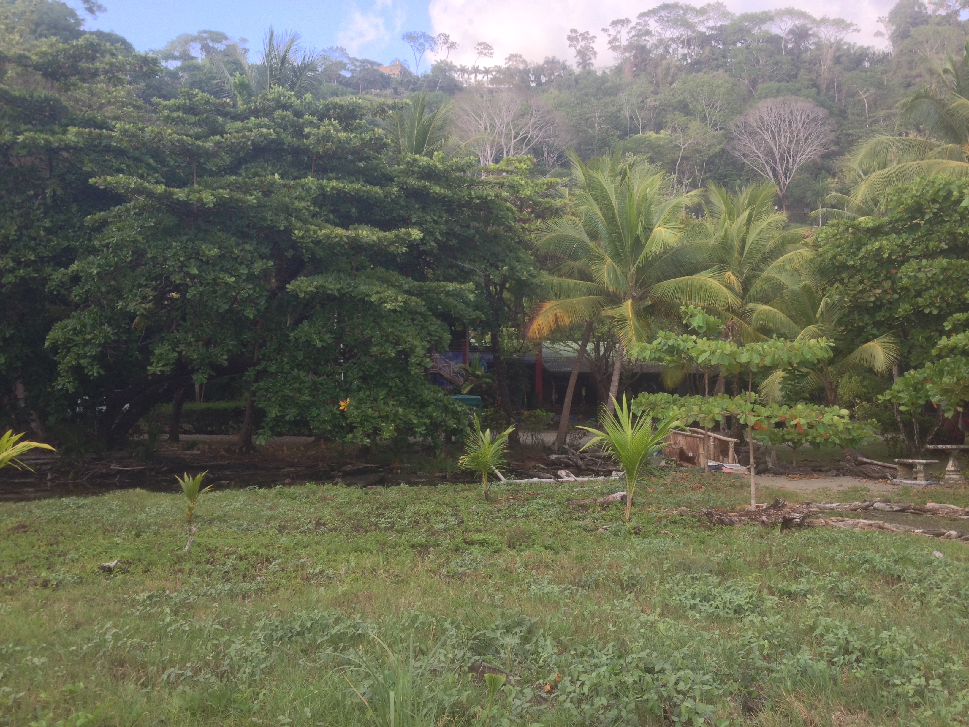 รูปถ่าย คอสตาริกา(Costa Rica) โดมินิกัล(Dominical) 2015-03 64