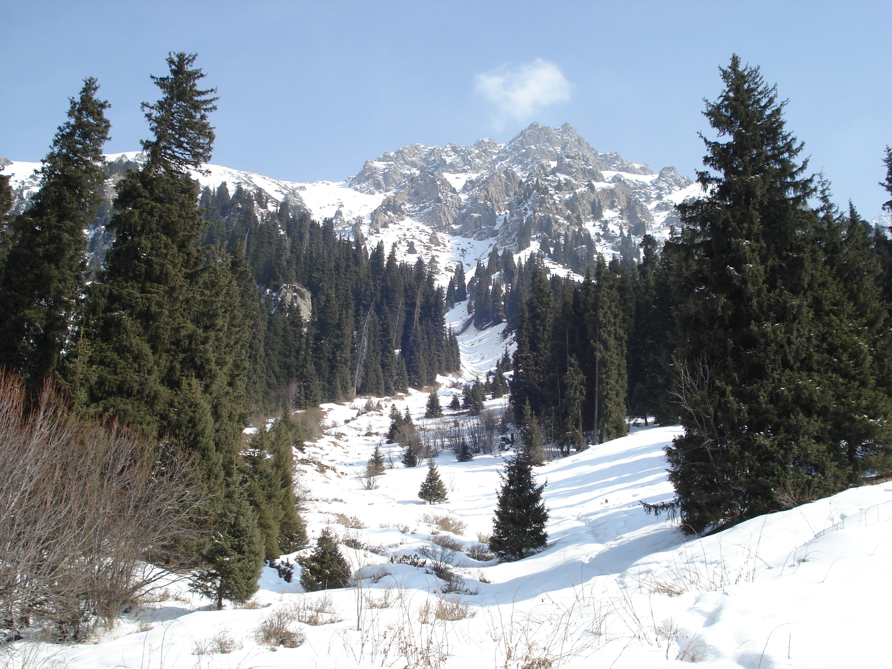 รูปถ่าย คาซัคสถาน(Kazakhstan) ซิมบูแลค(Shymbulak) 2007-03 49