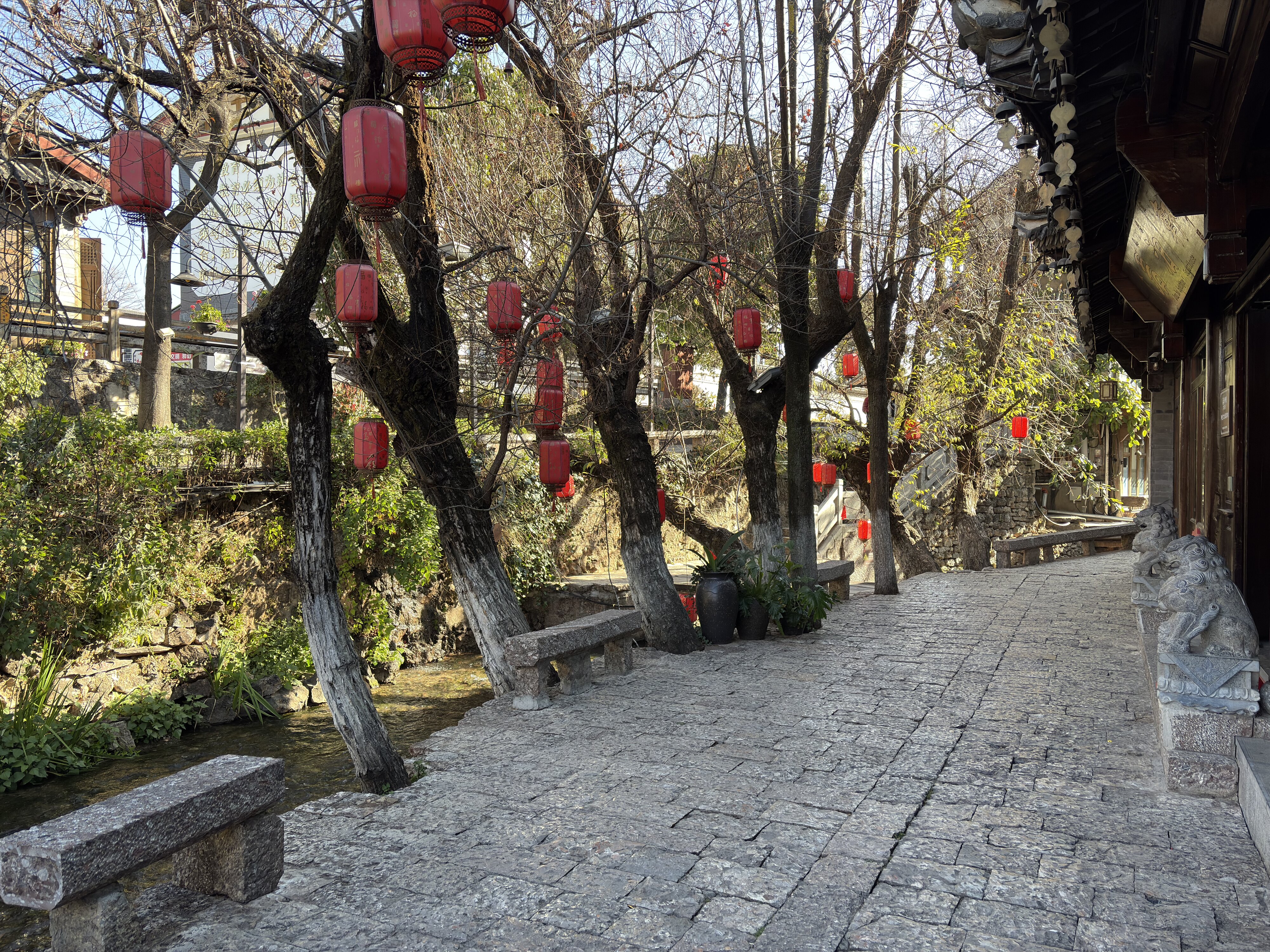 รูปถ่าย จีน(China) ลี่เจียง(Lijiang) 2026-01 696