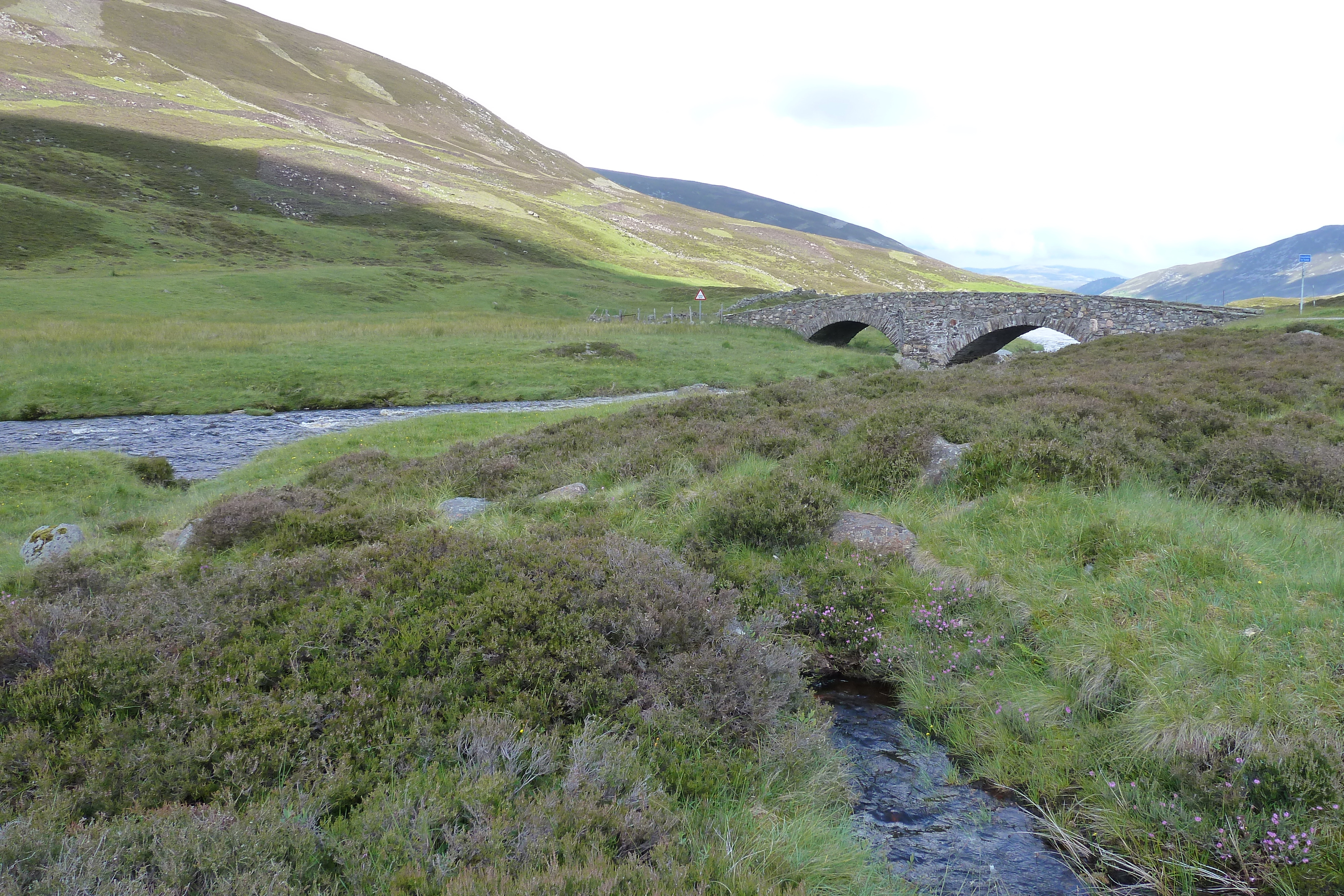 รูปถ่าย อังกฤษ(United Kingdom) อุทยานแห่งชาติแคร์นกอร์มส์(Cairngorms National Park) 2011-07 95