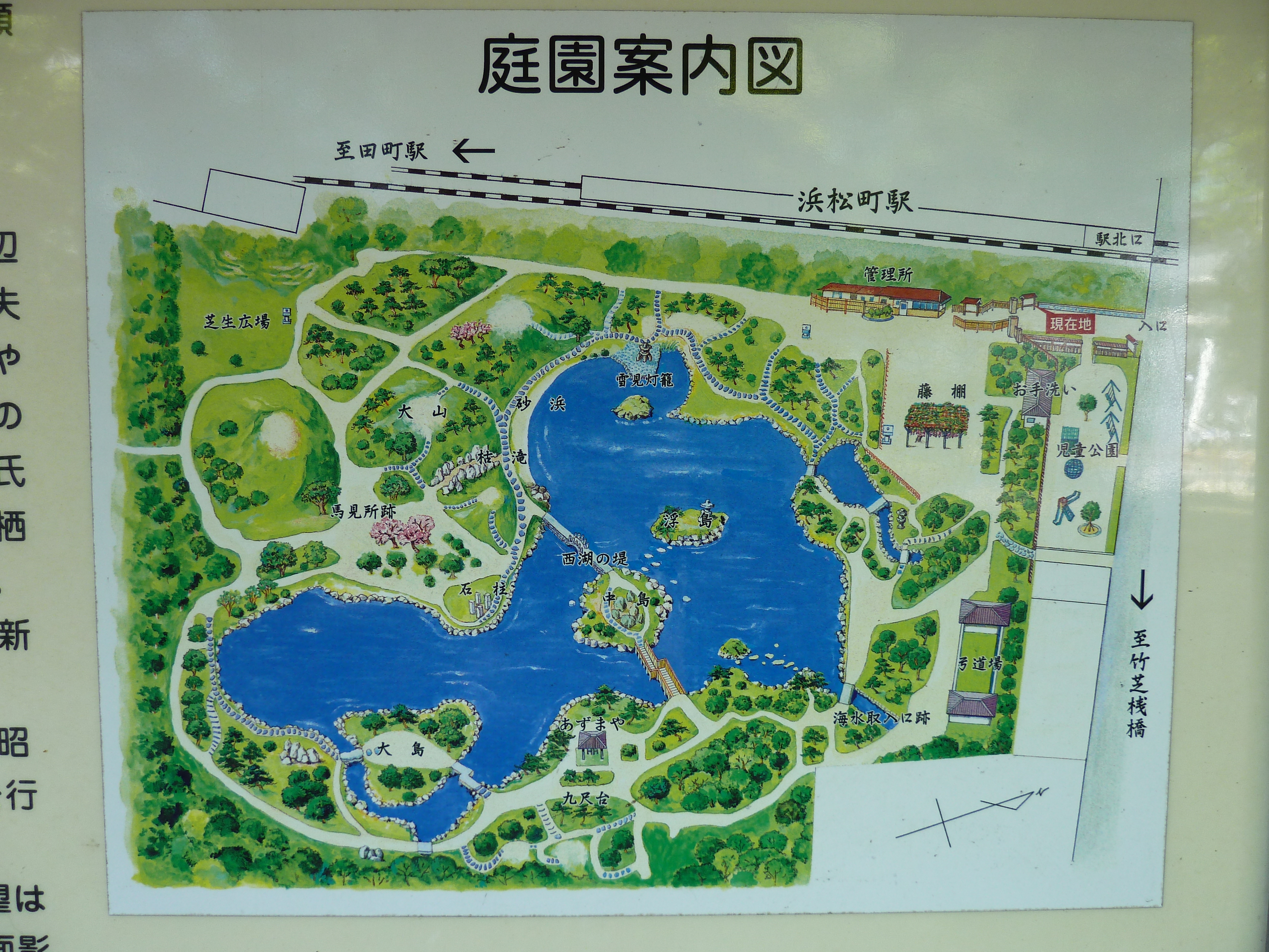 รูปถ่าย ญี่ปุ่น(Japan) โตเกียว(Tokyo) สวนคิวชิบะริคิว(Kyu Shiba rikyu Gardens) 2010-06 63