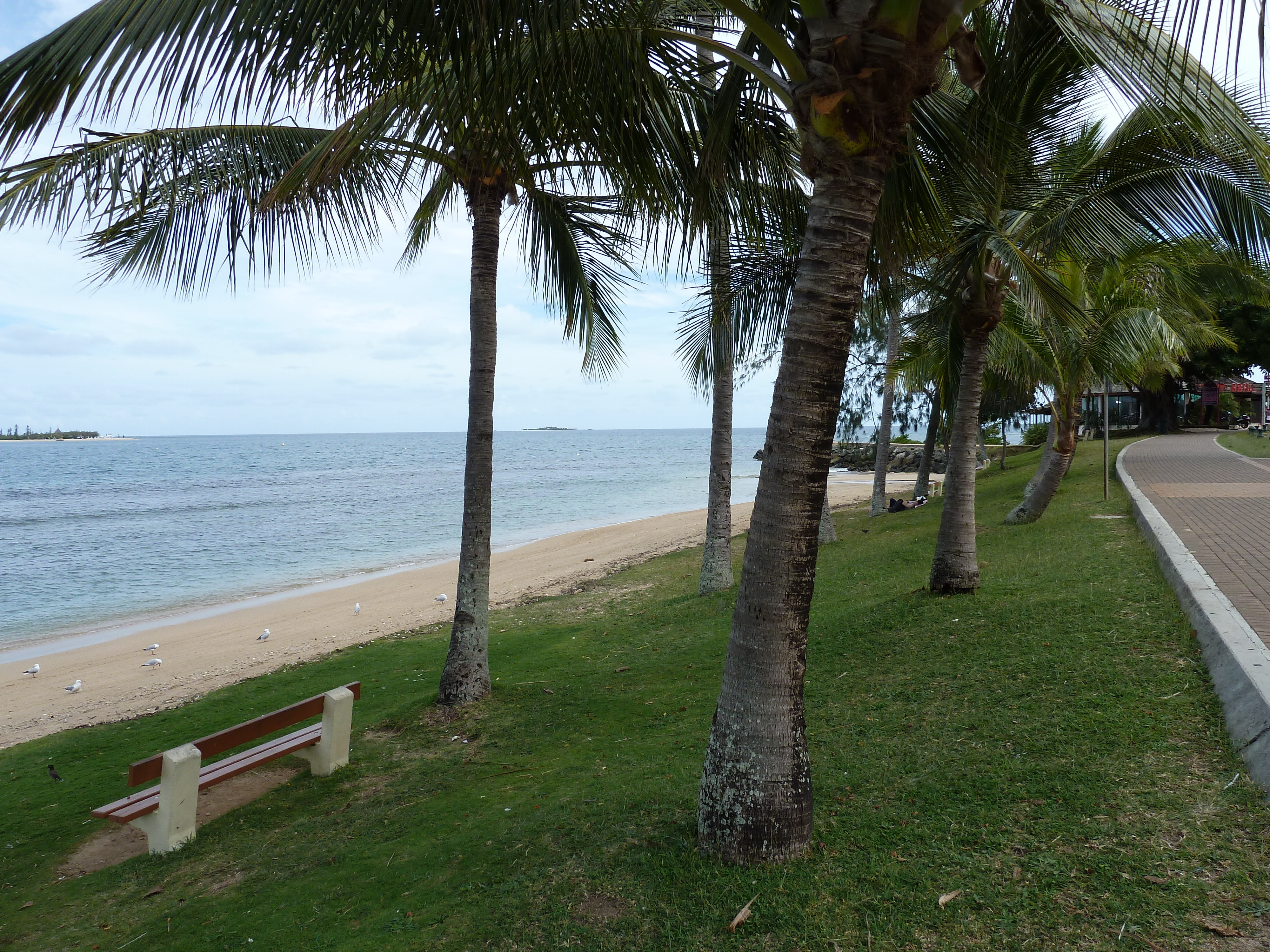 รูปถ่าย นิวแคลิโดเนีย(New Caledonia) นูเมอา(Noumea) อ่าวอ็องส์วาตา(Anse Vata) 2010-05 42