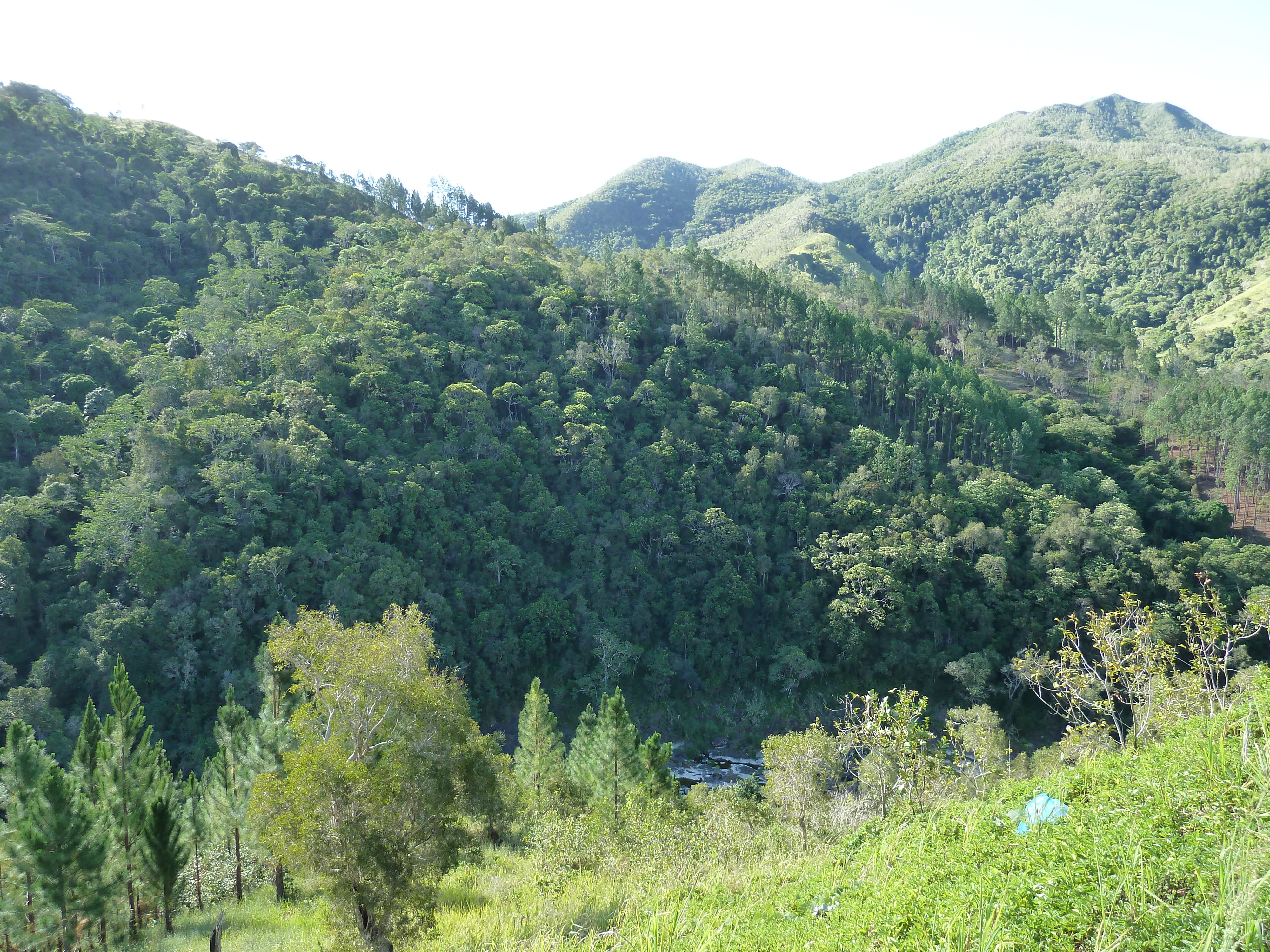 รูปถ่าย นิวแคลิโดเนีย(New Caledonia) ถนนจากกานาลาไปลาฟัว(Canala to La Foa road) 2010-05 8