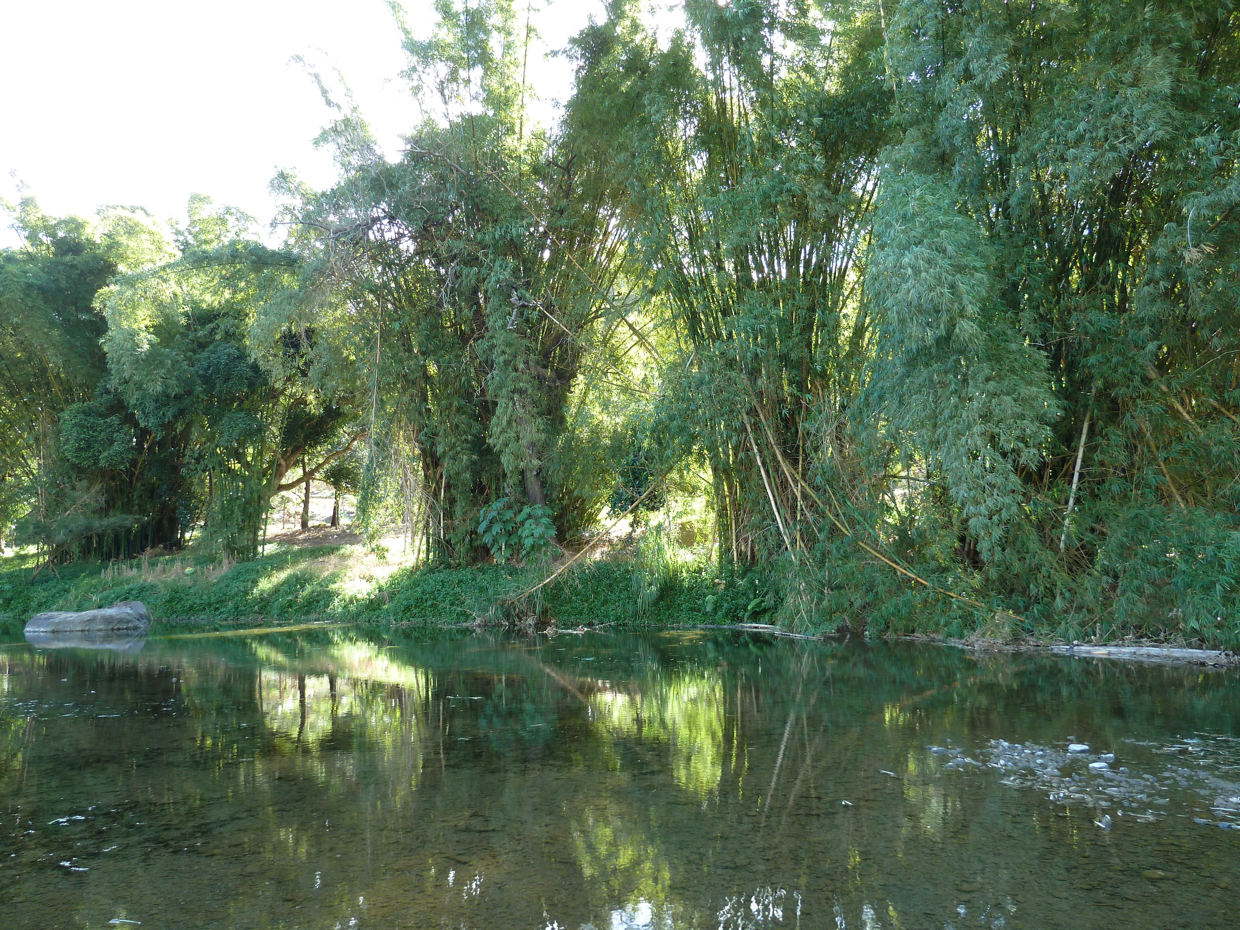 รูปถ่าย นิวแคลิโดเนีย(New Caledonia) ถนนจากกานาลาไปลาฟัว(Canala to La Foa road) 2010-05 64