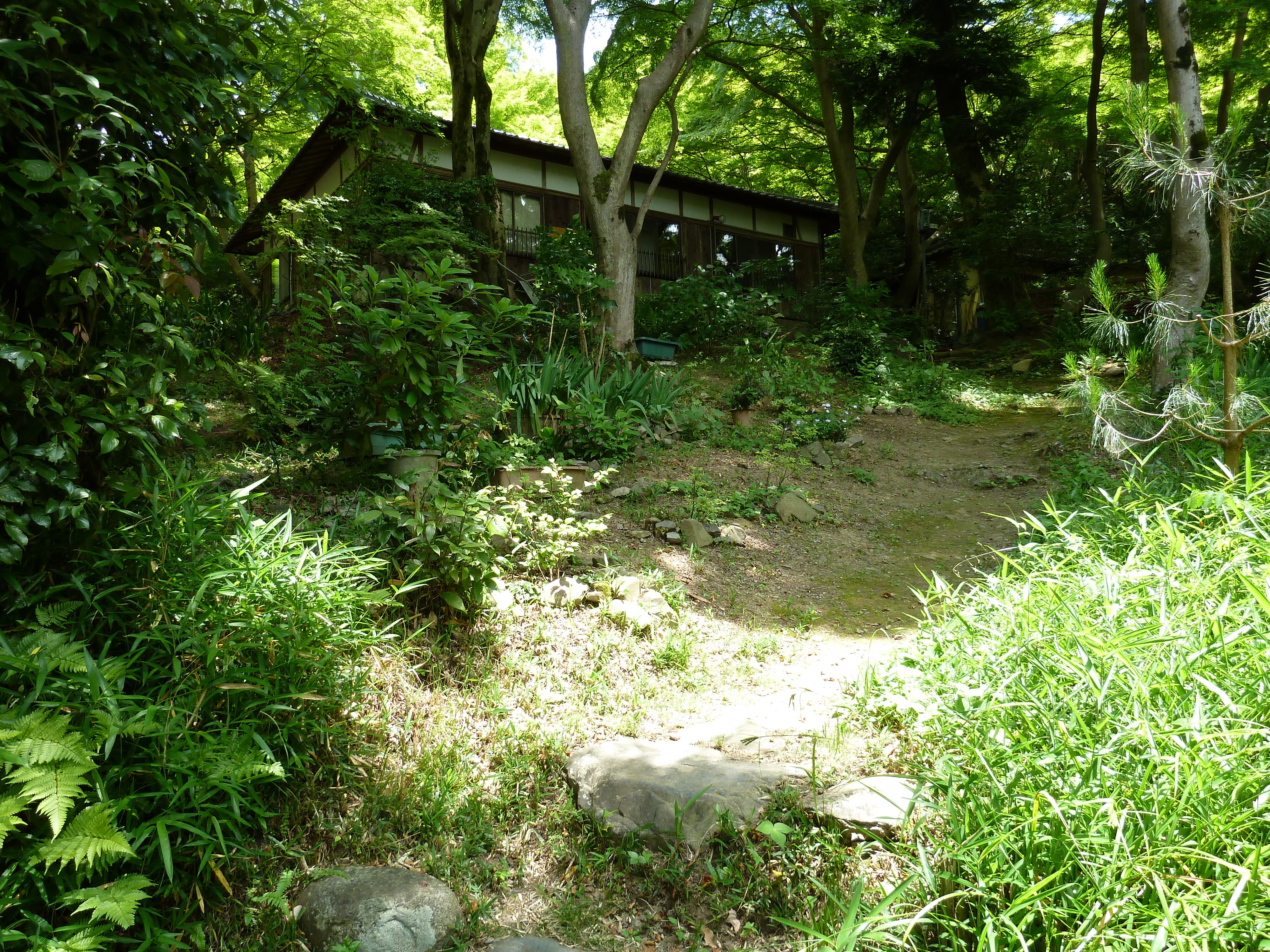 รูปถ่าย ญี่ปุ่น(Japan) เกียวโต(Kyoto) สถานียาเซะฮิเอซังงุจิ(Yase Hieizanguchi Station) 2010-06 6