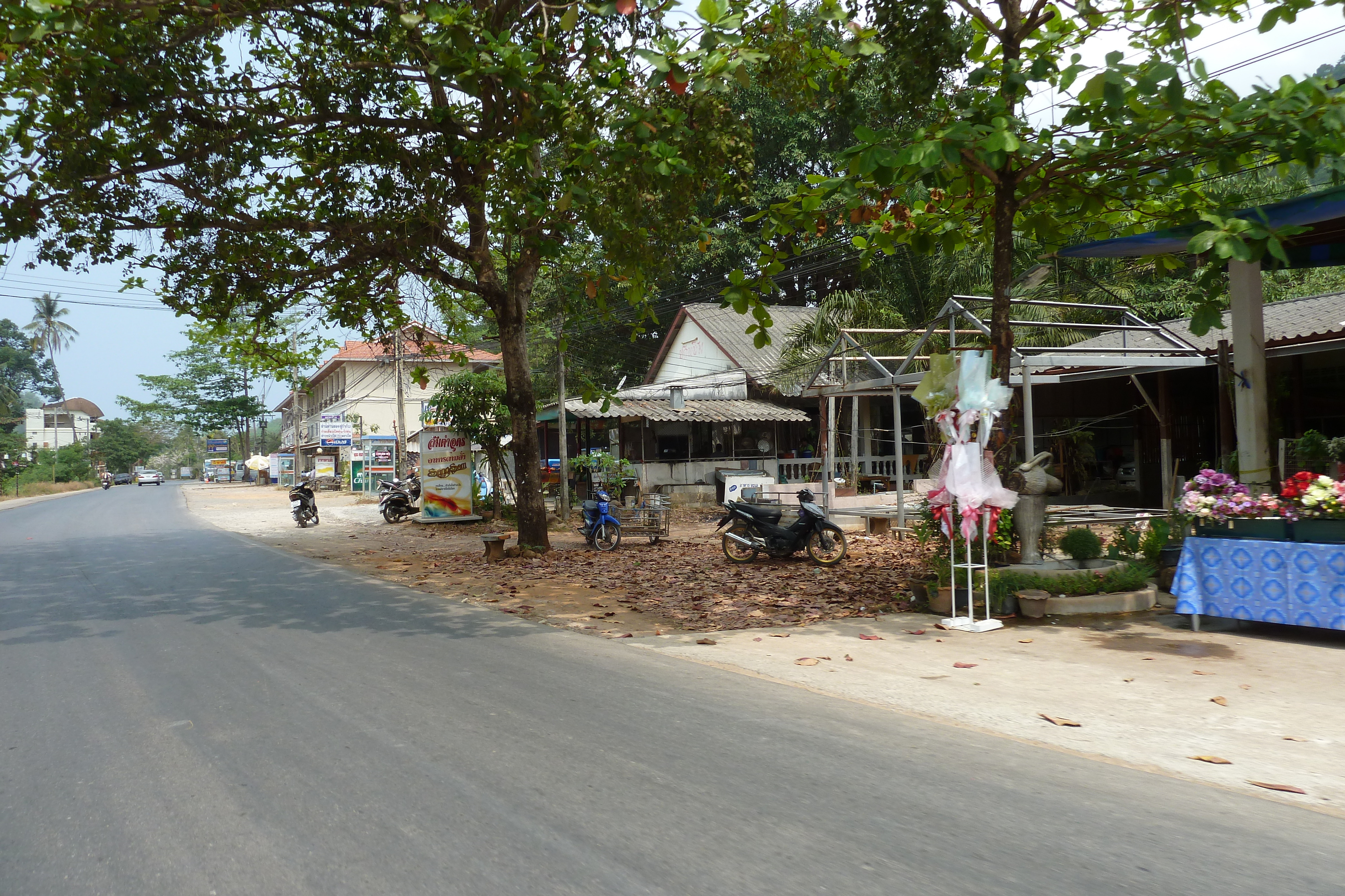 รูปถ่าย ไทย(Thailand) เกาะช้าง(Ko Chang) ถนนบนเกาะ(Island road) 2011-02 59