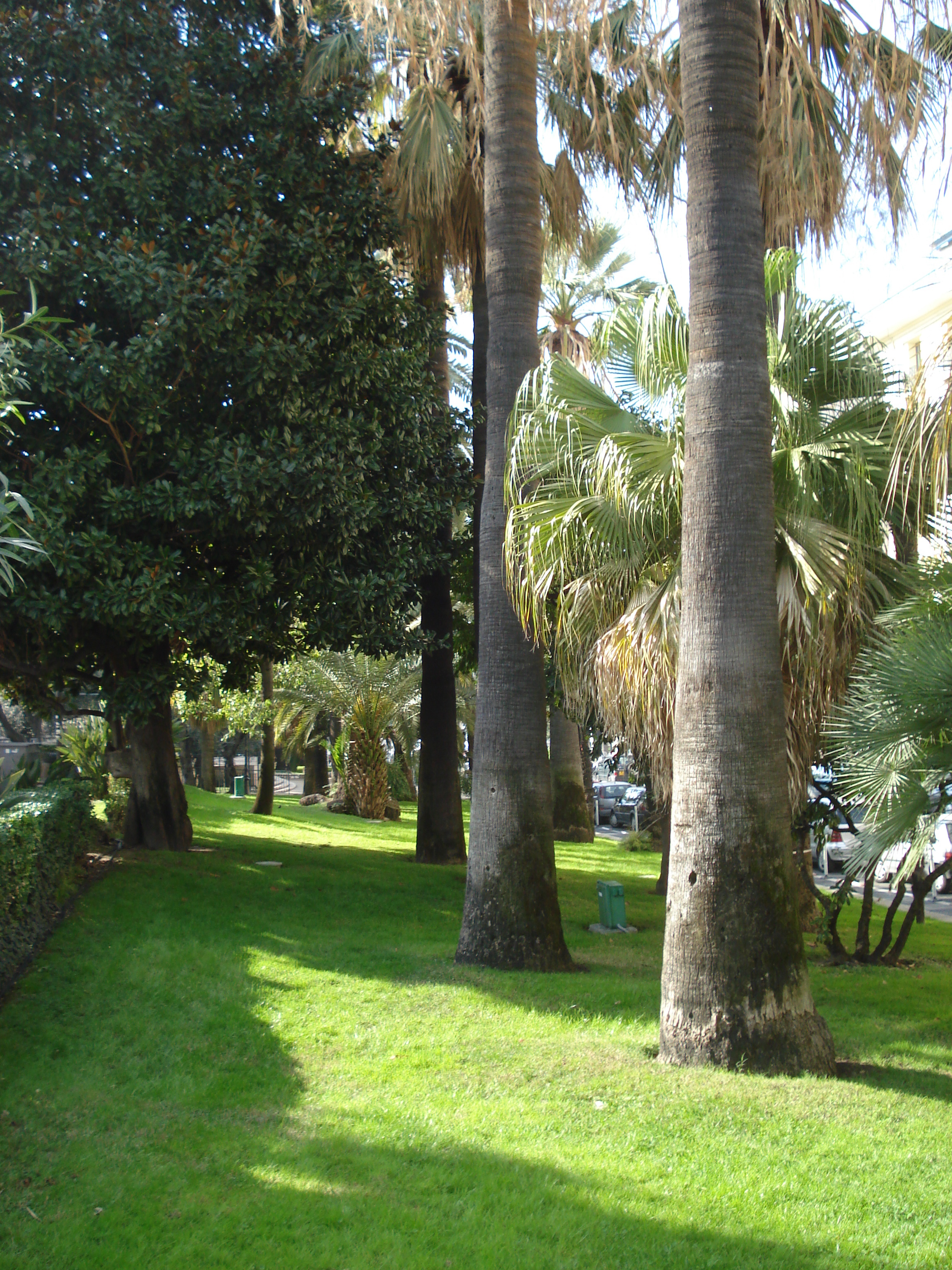 รูปถ่าย ฝรั่งเศส(France) นีส(Nice) 2007-02 49
