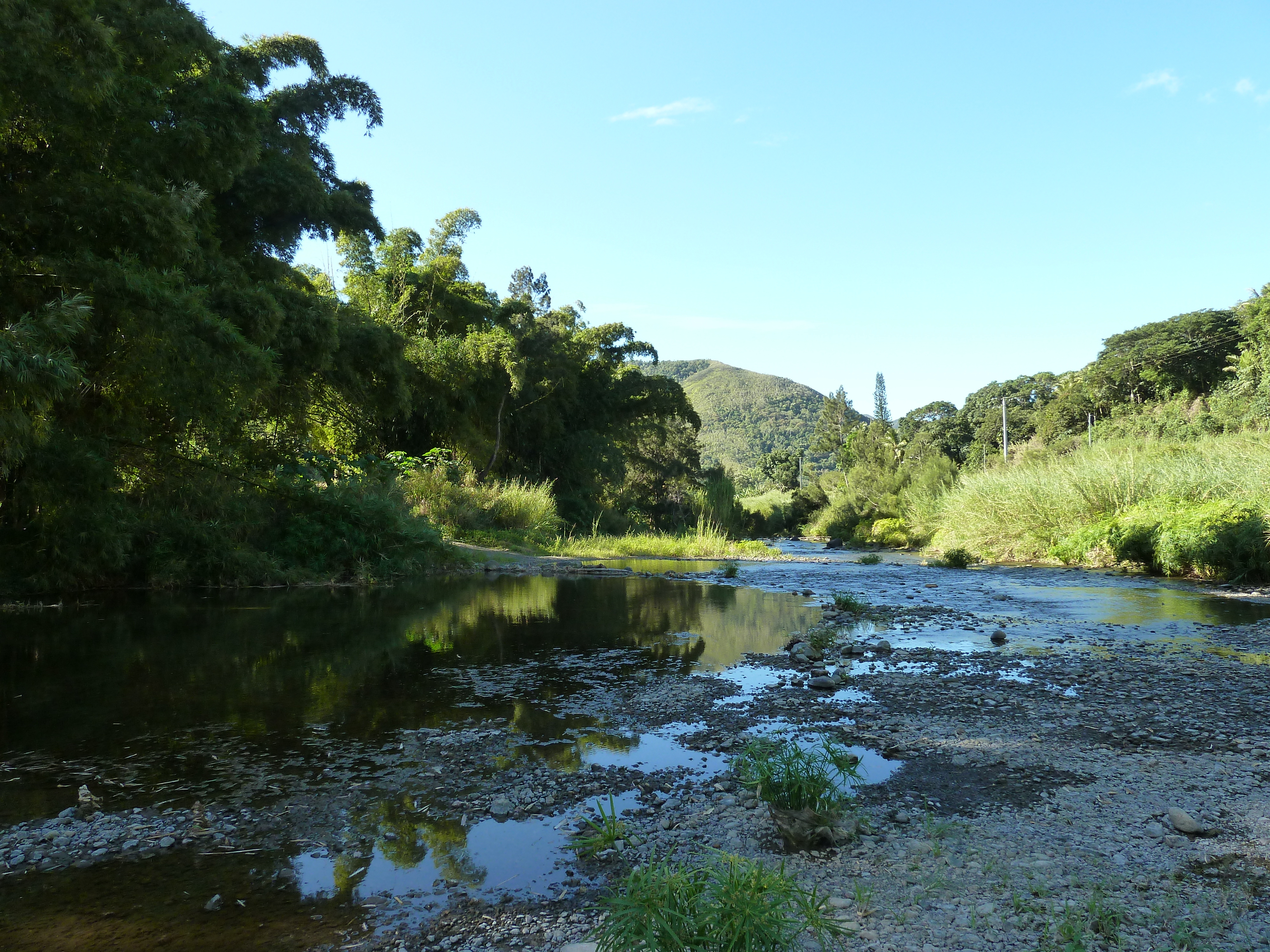 รูปถ่าย นิวแคลิโดเนีย(New Caledonia) ถนนจากกานาลาไปลาฟัว(Canala to La Foa road) 2010-05 55