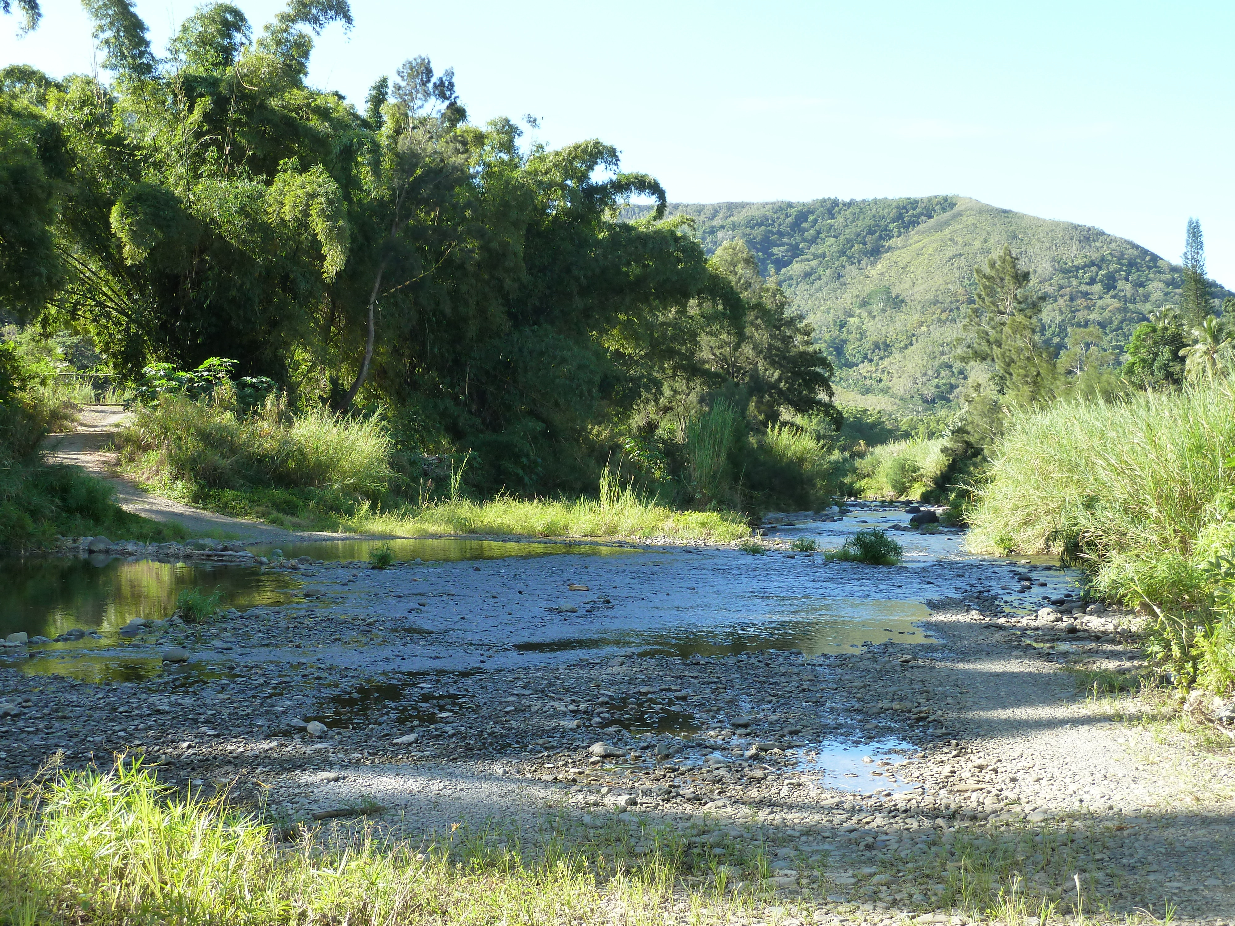 รูปถ่าย นิวแคลิโดเนีย(New Caledonia) ถนนจากกานาลาไปลาฟัว(Canala to La Foa road) 2010-05 50