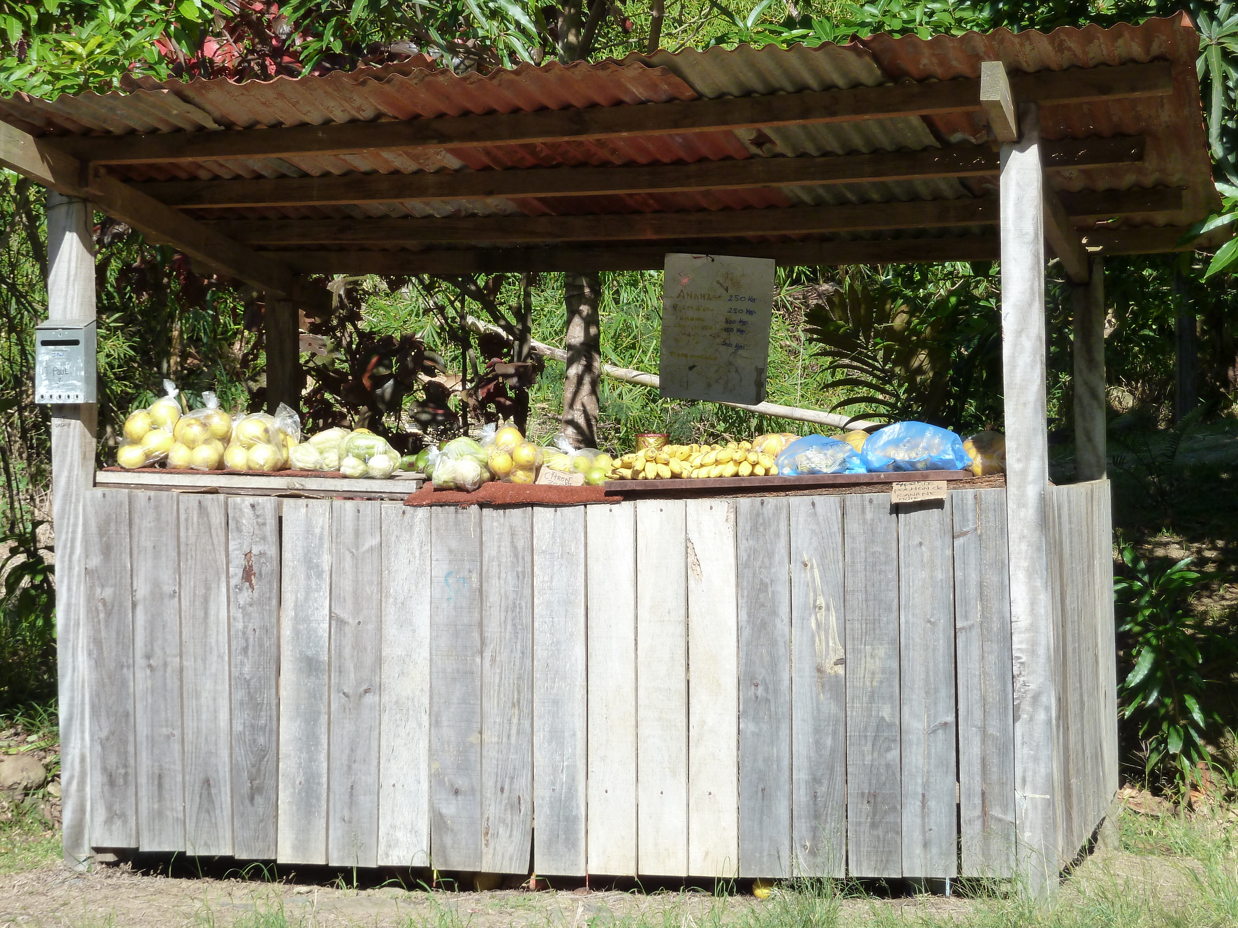 รูปถ่าย นิวแคลิโดเนีย(New Caledonia) ถนนจากกานาลาไปลาฟัว(Canala to La Foa road) 2010-05 41
