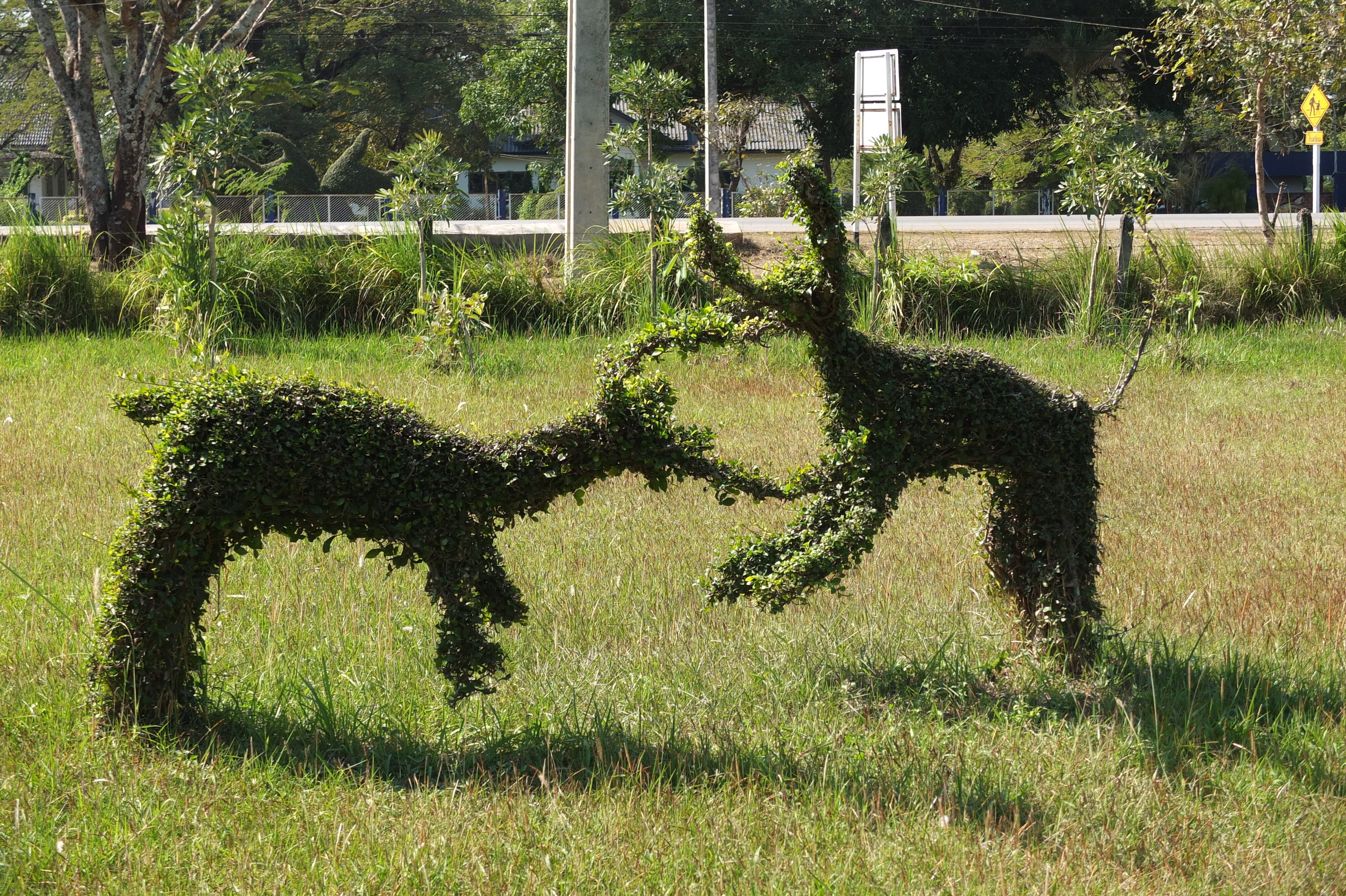 รูปถ่าย ไทย(Thailand) แม่น้ำโขง(Mekong river) 2012-12 91