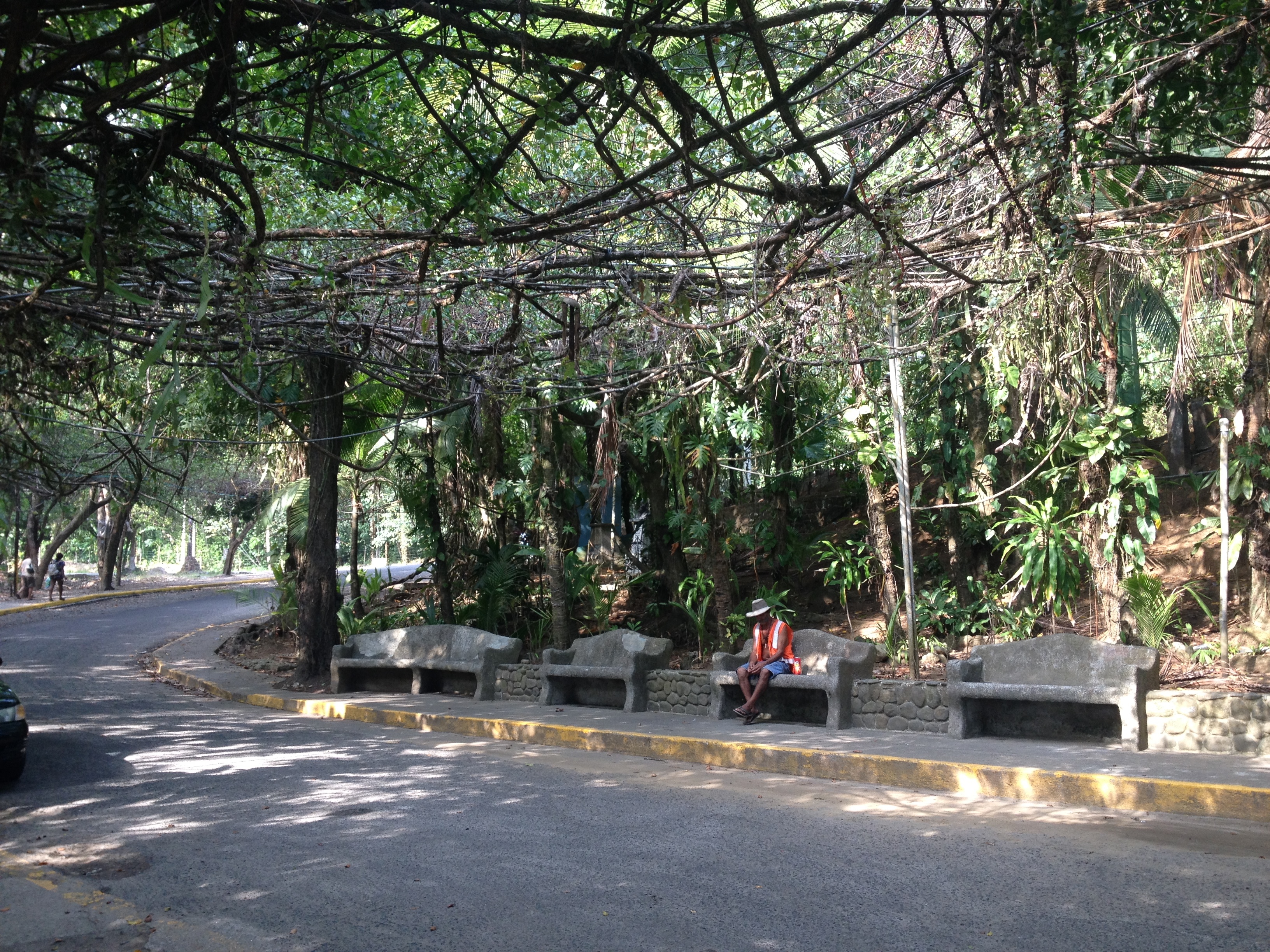 รูปถ่าย คอสตาริกา(Costa Rica) มานวยล์อันโตนีโอ(Manuel Antonio) 2015-03 304