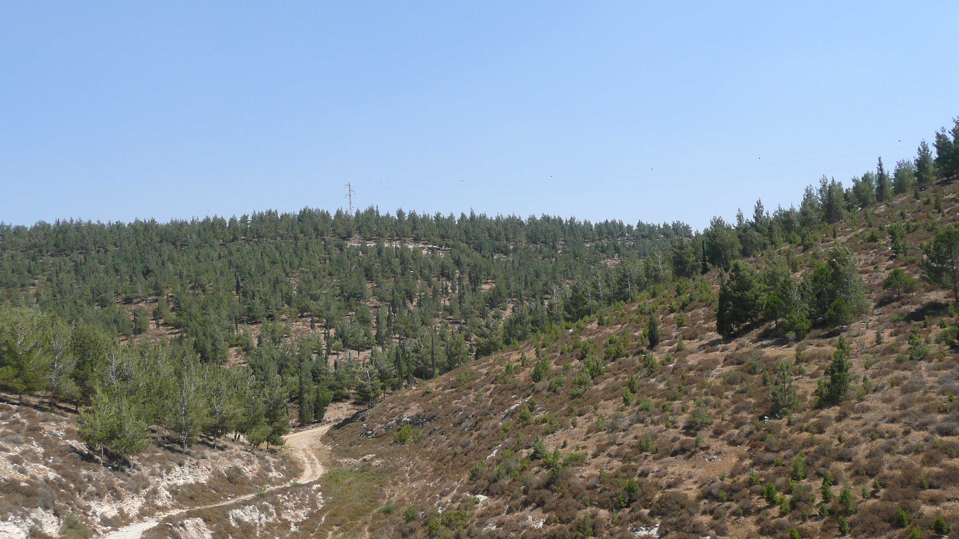 รูปถ่าย อิสราเอล(Israel) ถนนจากอัชเคลอนไปอาราด(Ashkelon to Arad road) 2007-06 86