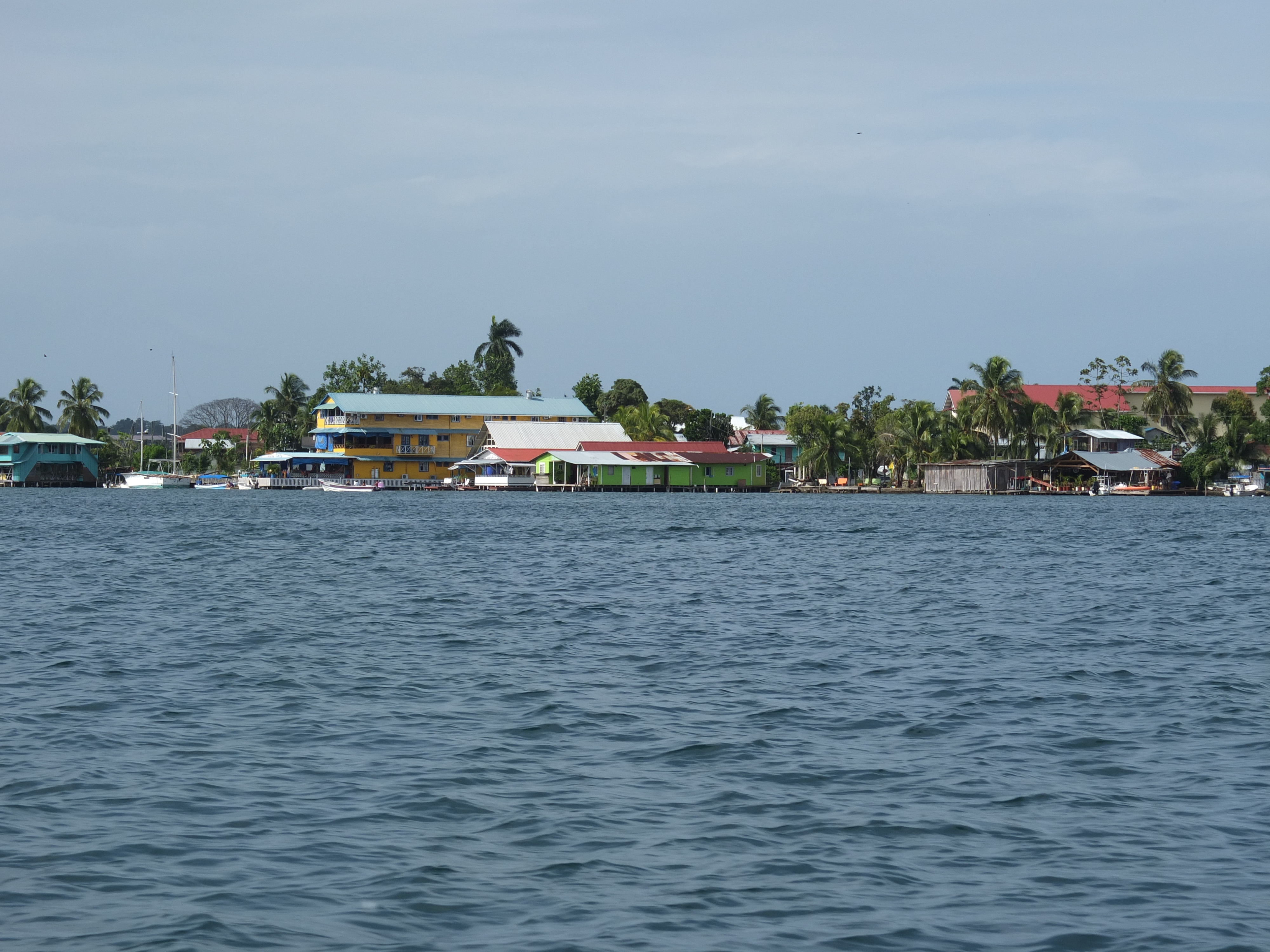 รูปถ่าย ปานามา(Panama) โบกัสเดลโตโร(Bocas del toro) 2015-03 47