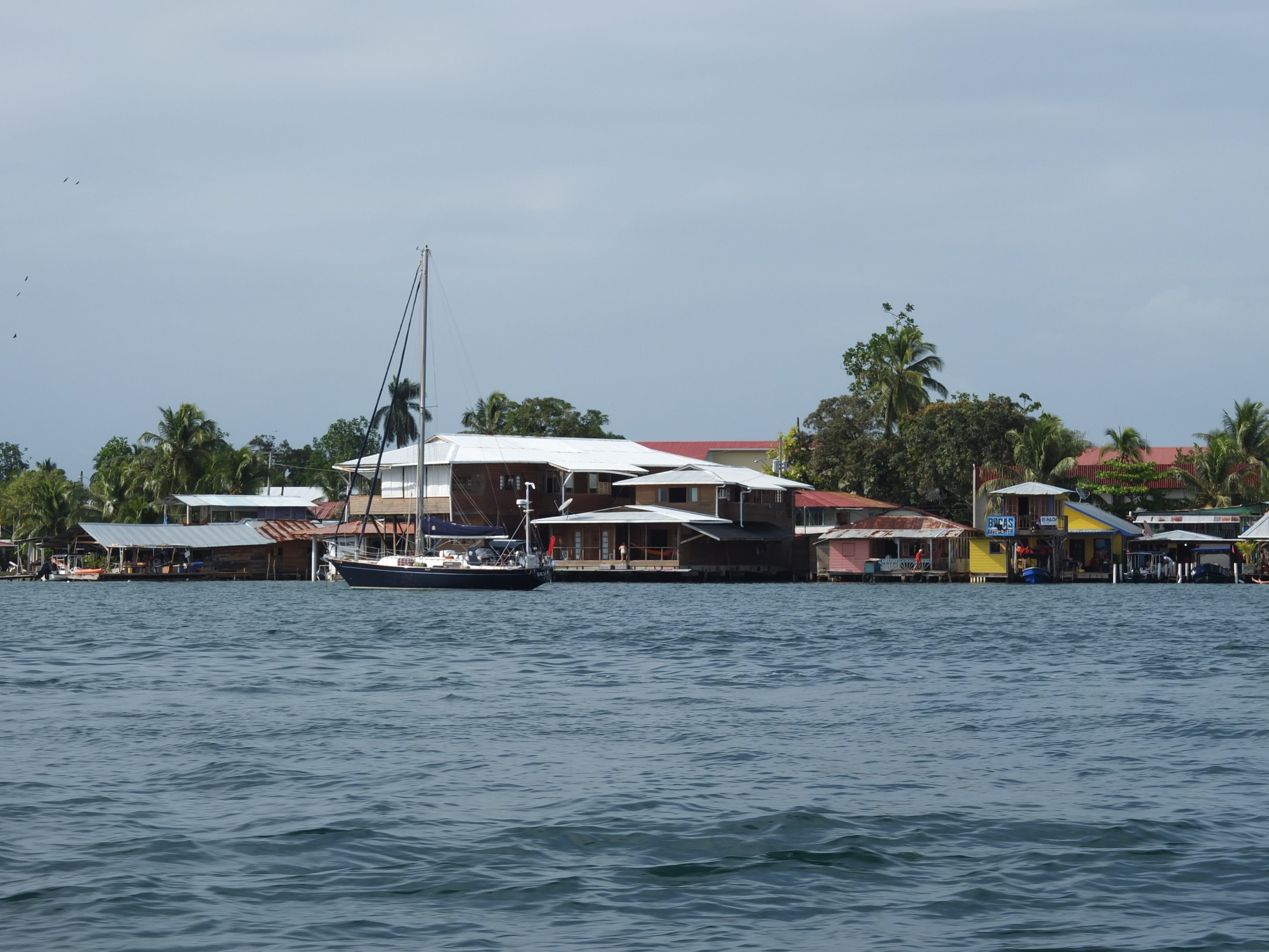 รูปถ่าย ปานามา(Panama) โบกัสเดลโตโร(Bocas del toro) 2015-03 44