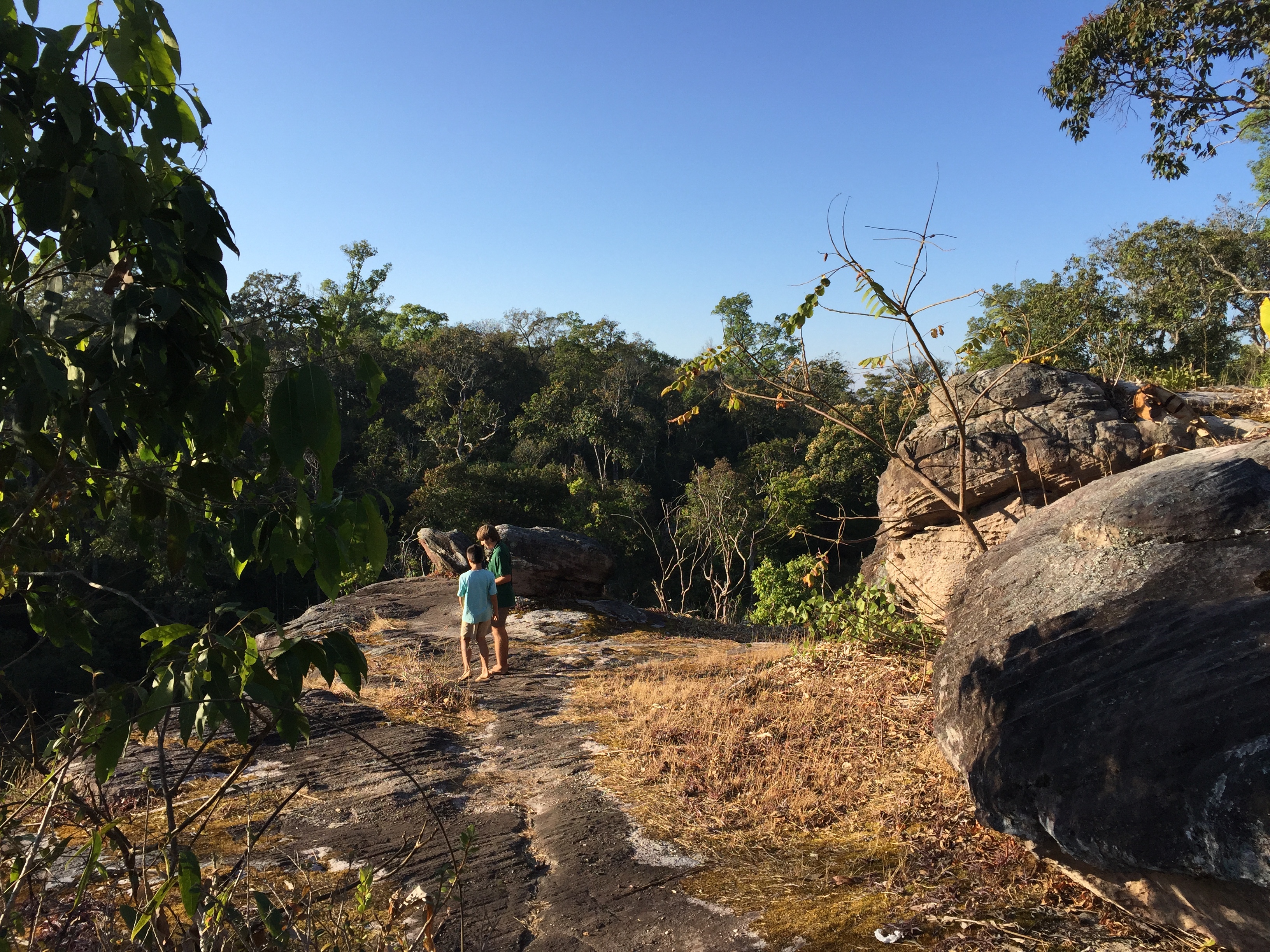รูปถ่าย ไทย(Thailand) อุทยานแห่งชาติภูหินร่องกล้า(Phu Hin Rong Kla National Park) 2014-12 146