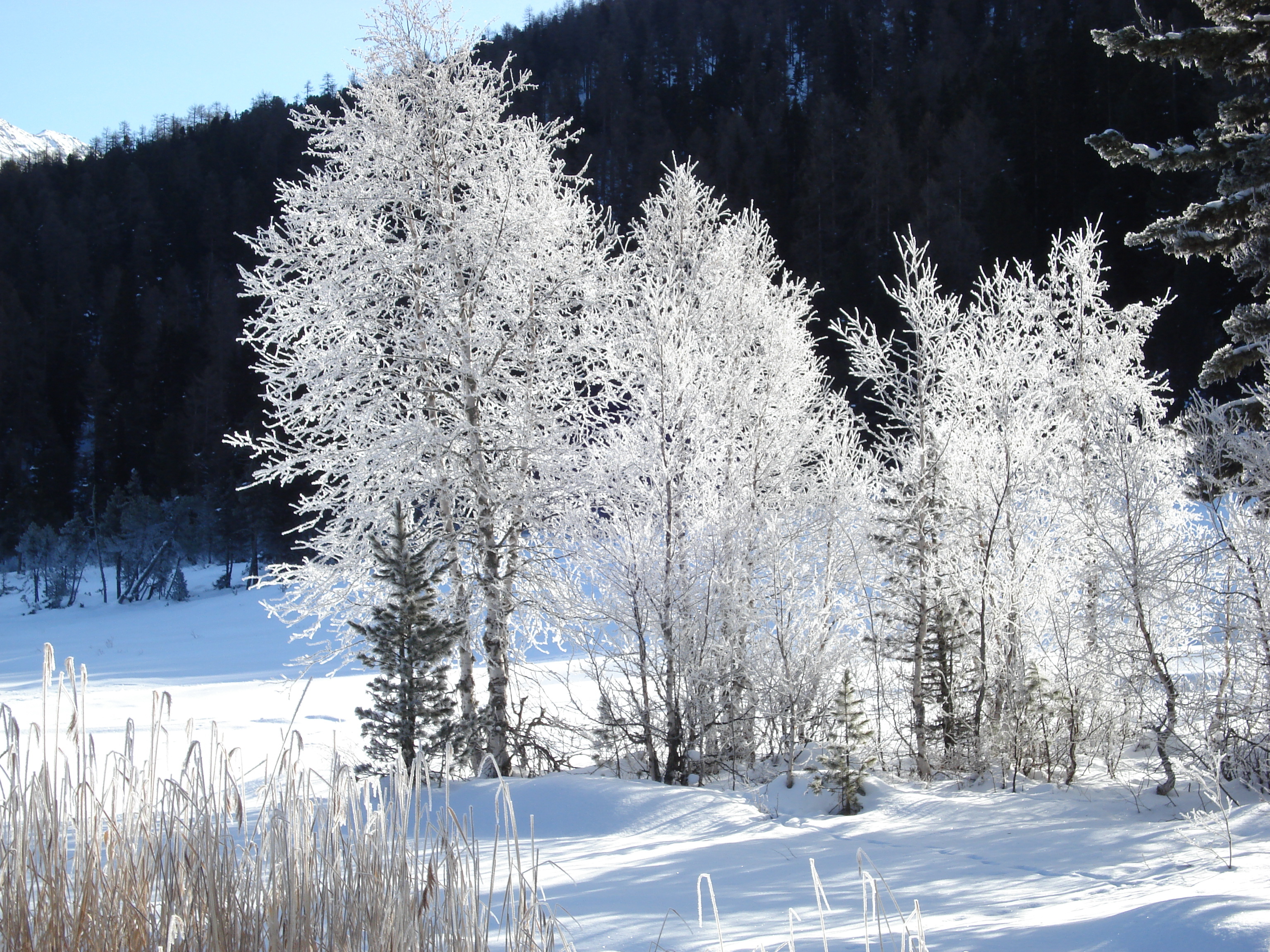 รูปถ่าย สวิสเซอร์แลนด์(Switzerland) เซนต์มอริตซ์ ชลาริญญา(St Moritz Schlarigna) 2007-01 66