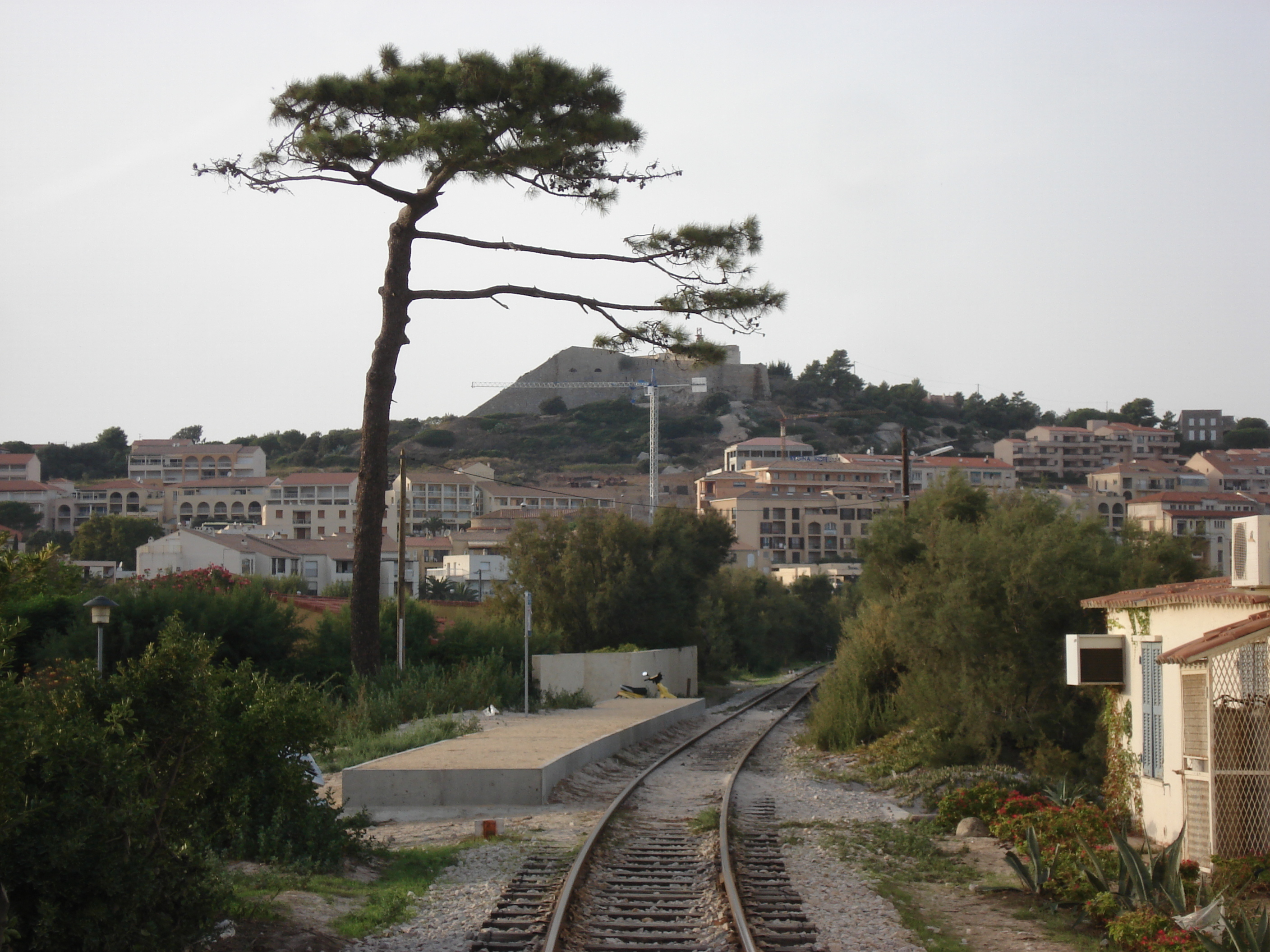 รูปถ่าย ฝรั่งเศส(France) คอร์สิคา(Corsica) คาลวี(Calvi) 2006-09 31