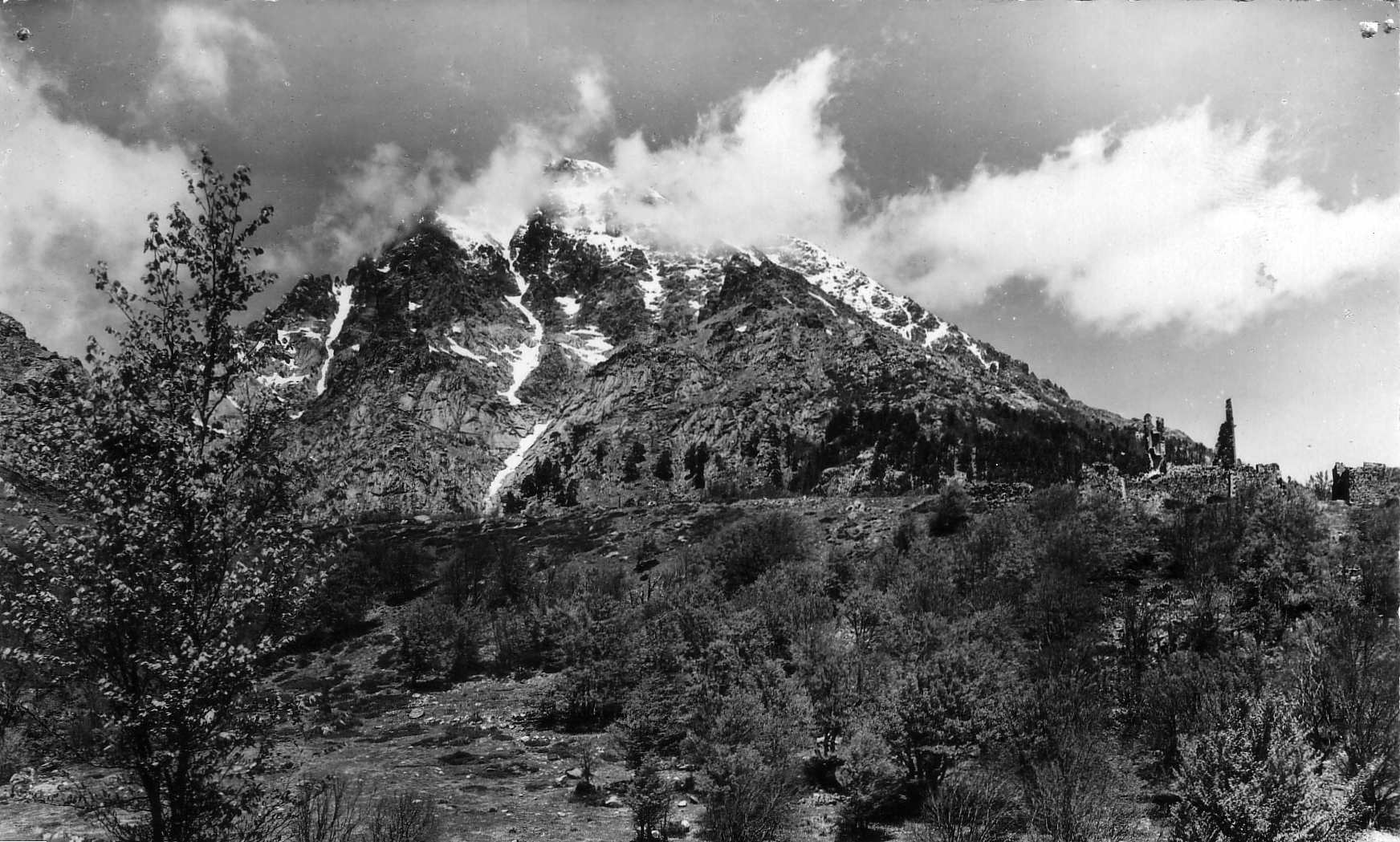 รูปถ่าย ฝรั่งเศส(France) คอร์สิคา(Corsica) โปสการ์ดเก่า(Old Postcards) 1900-01 263