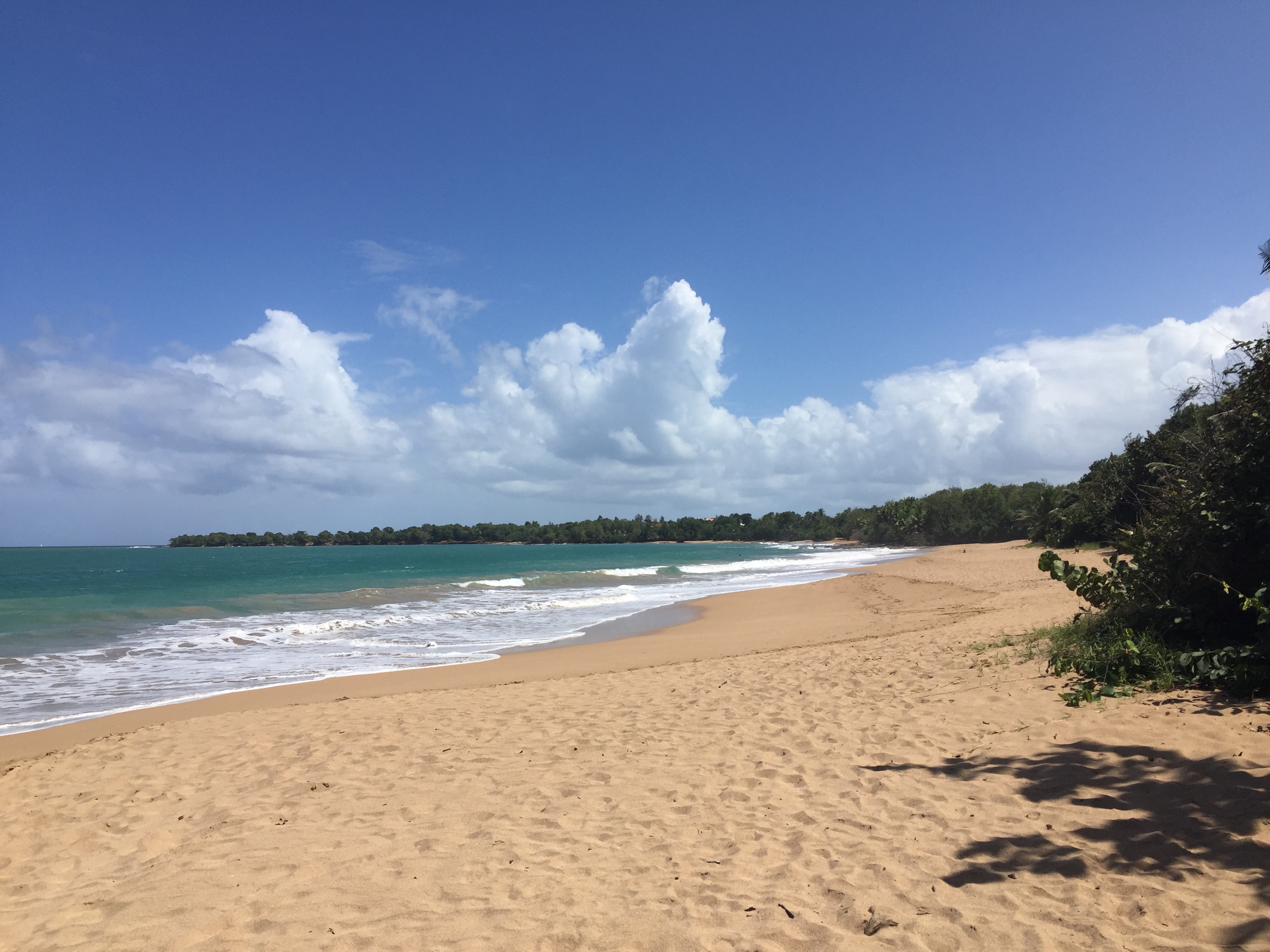 รูปถ่าย กวาเดอลูป(Guadeloupe) เดแอ(Deshaies) 2021-02 5