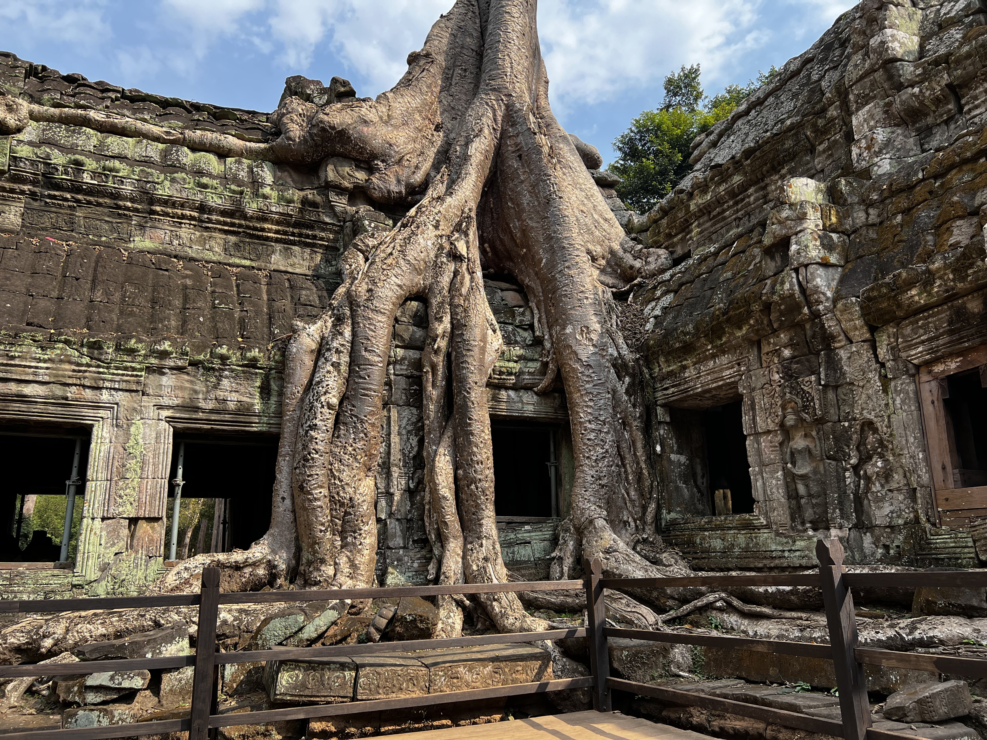 รูปถ่าย กัมพูชา(Cambodia) เสียมราฐ(Siem Reap) ปราสาทตาพรหม(Ta Prohm) 2023-01 89