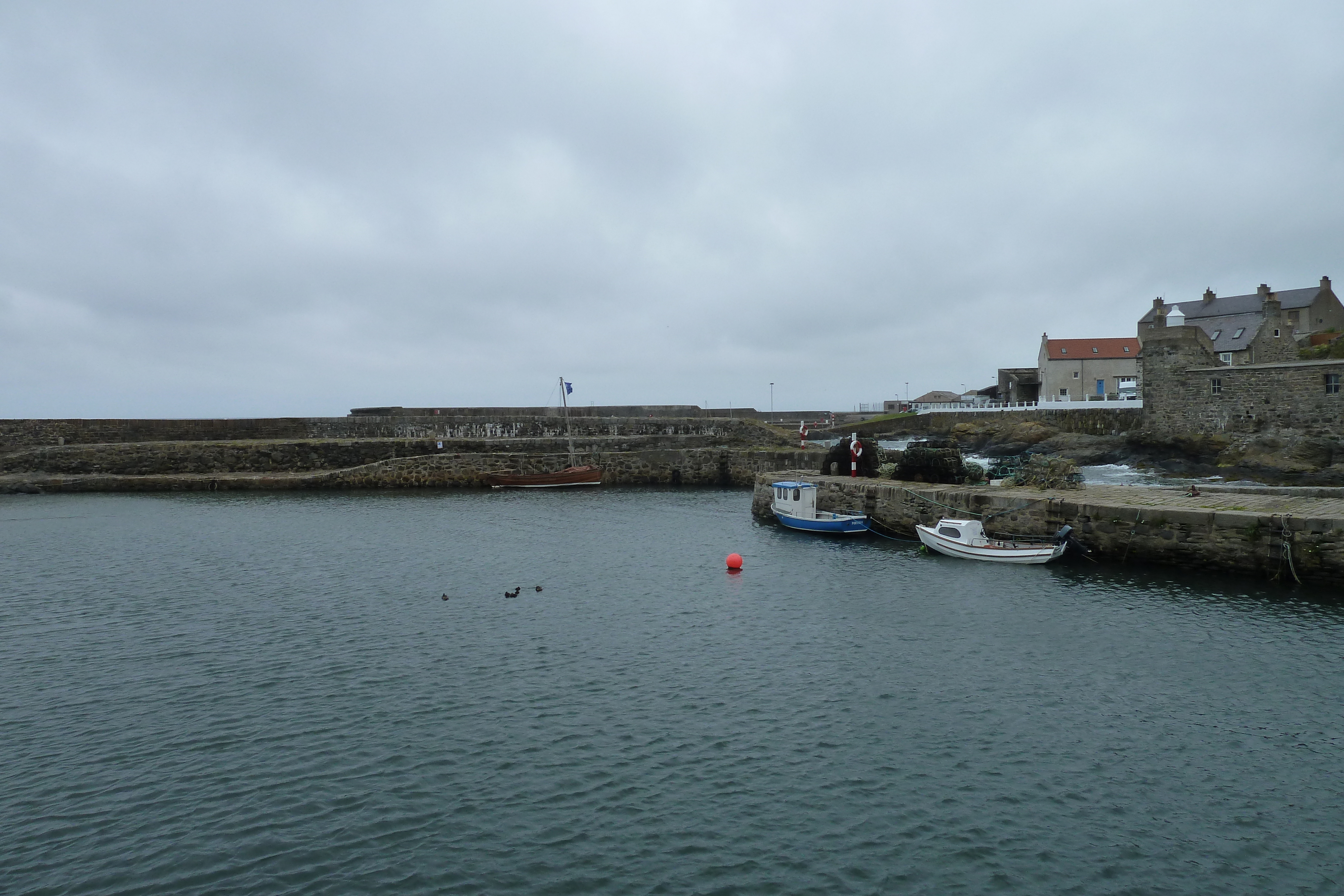 รูปถ่าย อังกฤษ(United Kingdom) สกอตแลนด์(Scotland) พอร์ตซอย(Portsoy) 2011-07 9