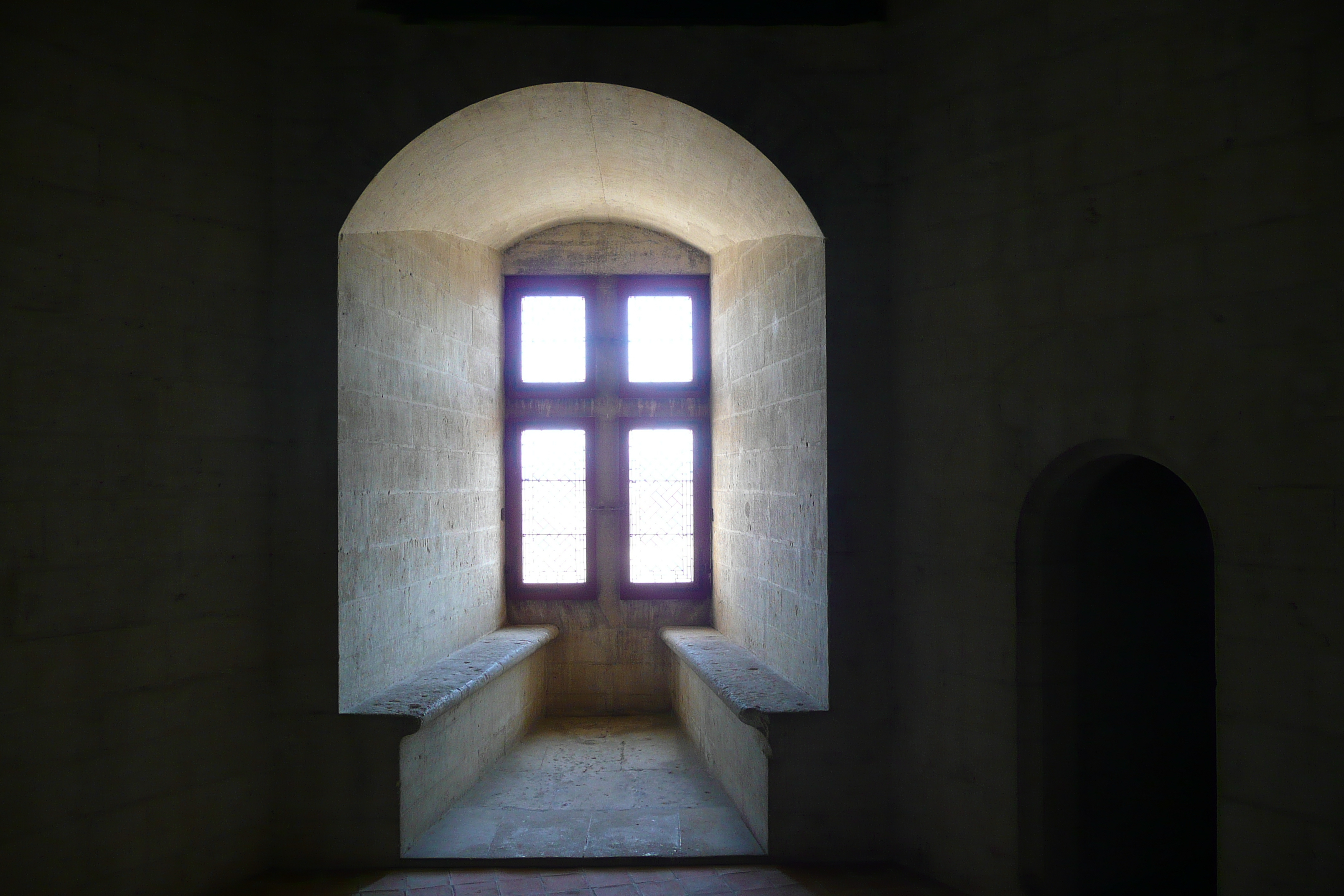 รูปถ่าย ฝรั่งเศส(France) ตาราสกง(Tarascon) ปราสาทตาราสกง(Tarascon Castle) 2008-04 145