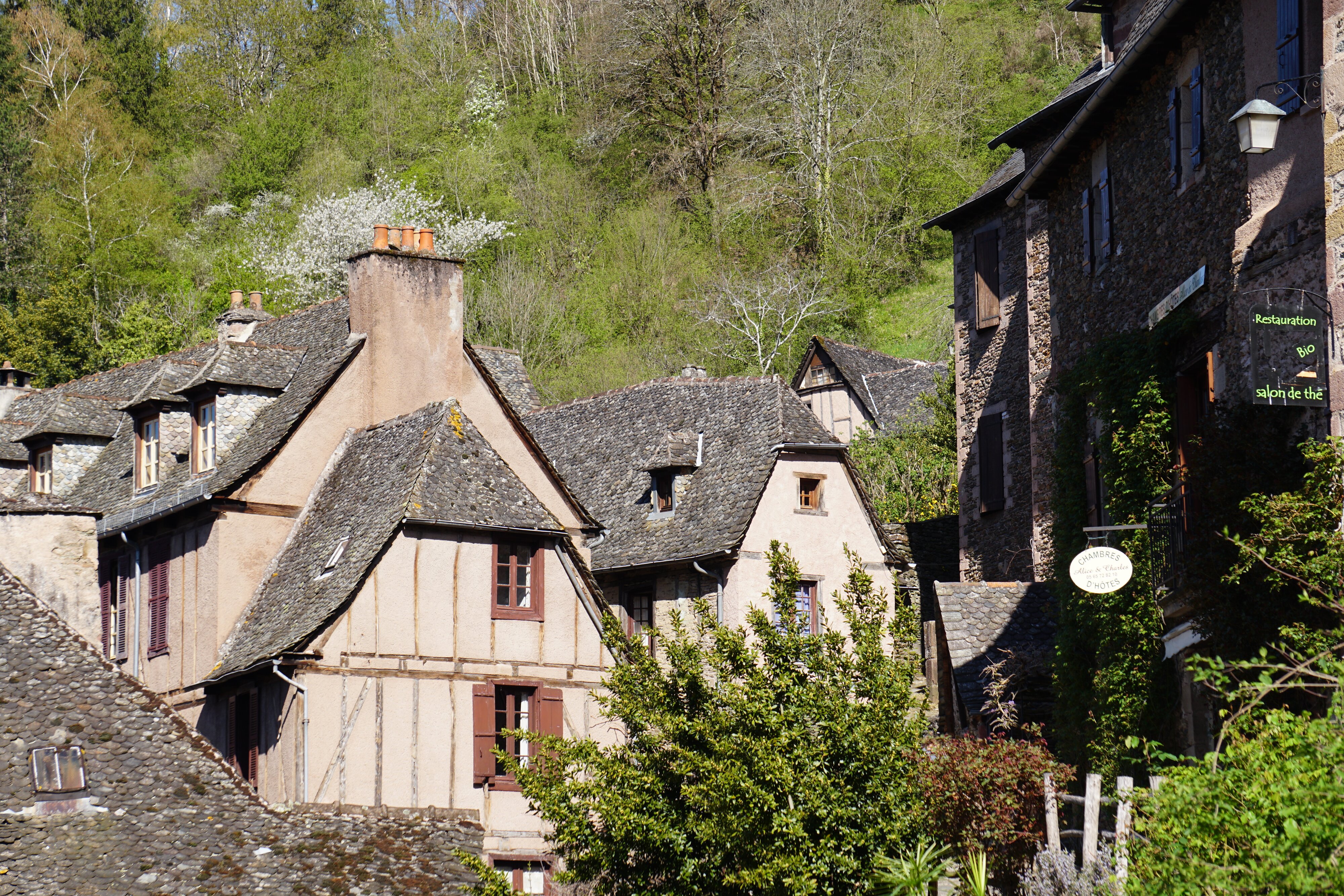รูปถ่าย ฝรั่งเศส(France) กงก์(Conques) โบสถ์แซ็งต์-ฟัว เดอ กงก์(Abbatiale Sainte-Foy de Conques) 2018-04 41