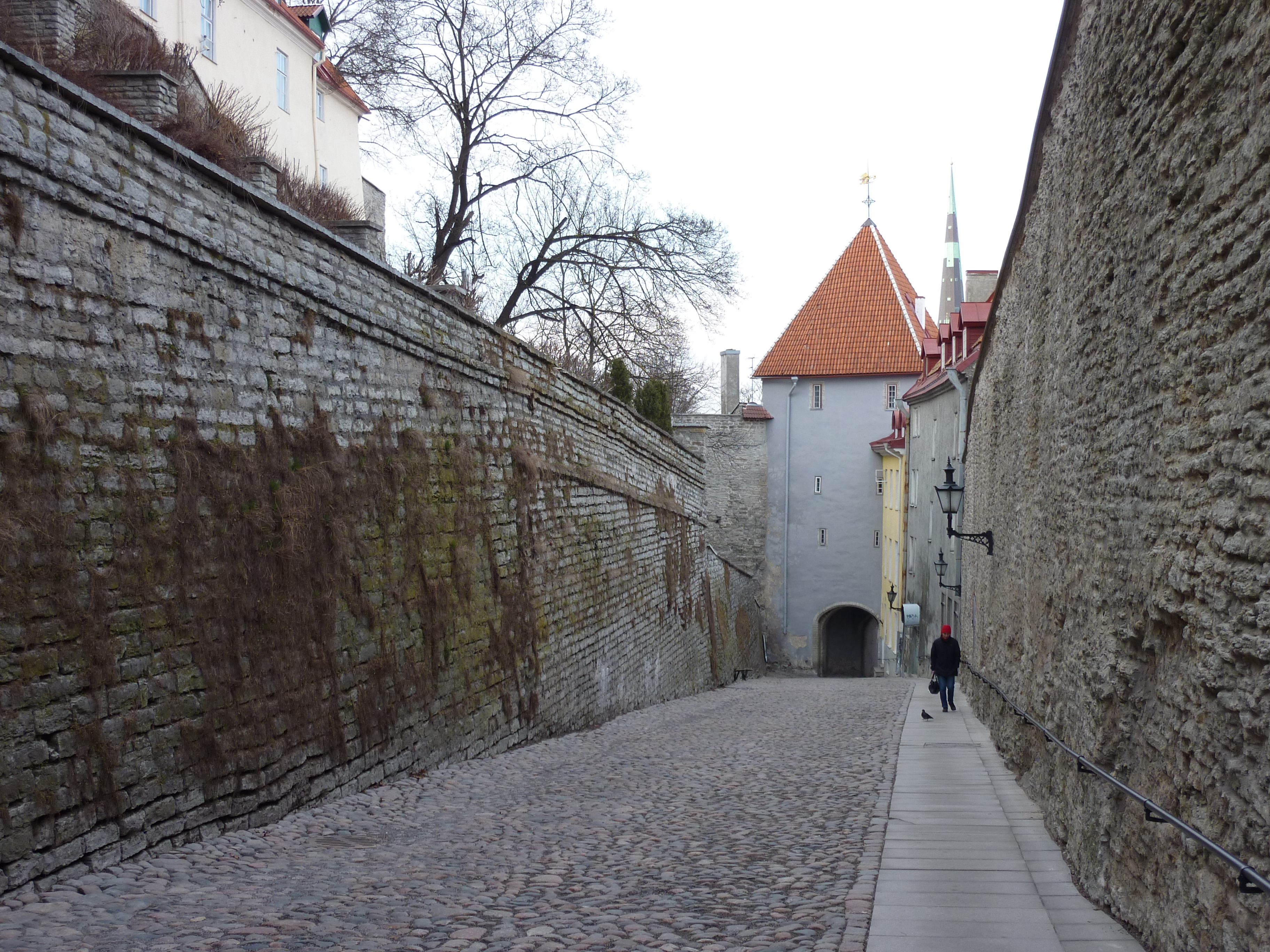 รูปถ่าย เอสโตเนีย(Estonia) ทาลลินน์(Tallinn) เมืองเก่าทาลลินน์(Old Tallinn) 2009-04 73