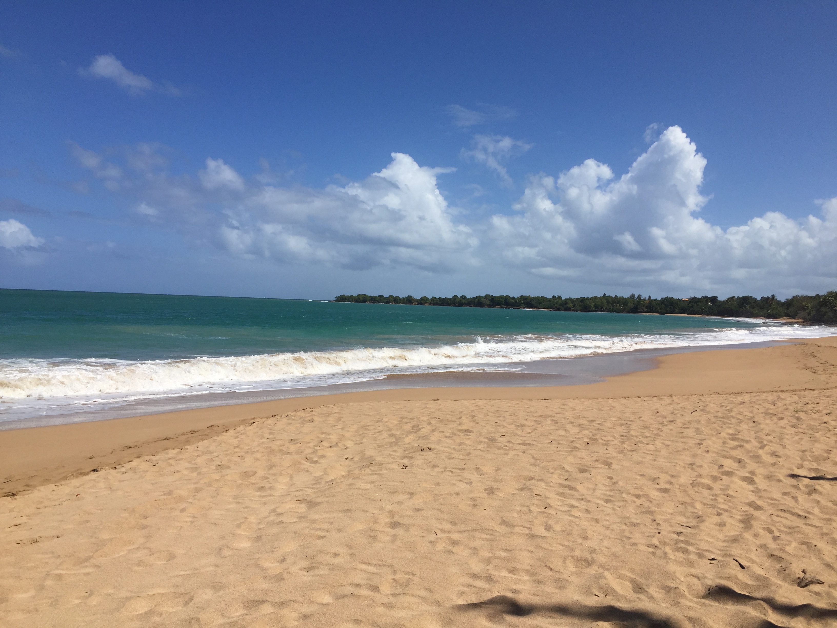 รูปถ่าย กวาเดอลูป(Guadeloupe) เดแอ(Deshaies) 2021-02 4